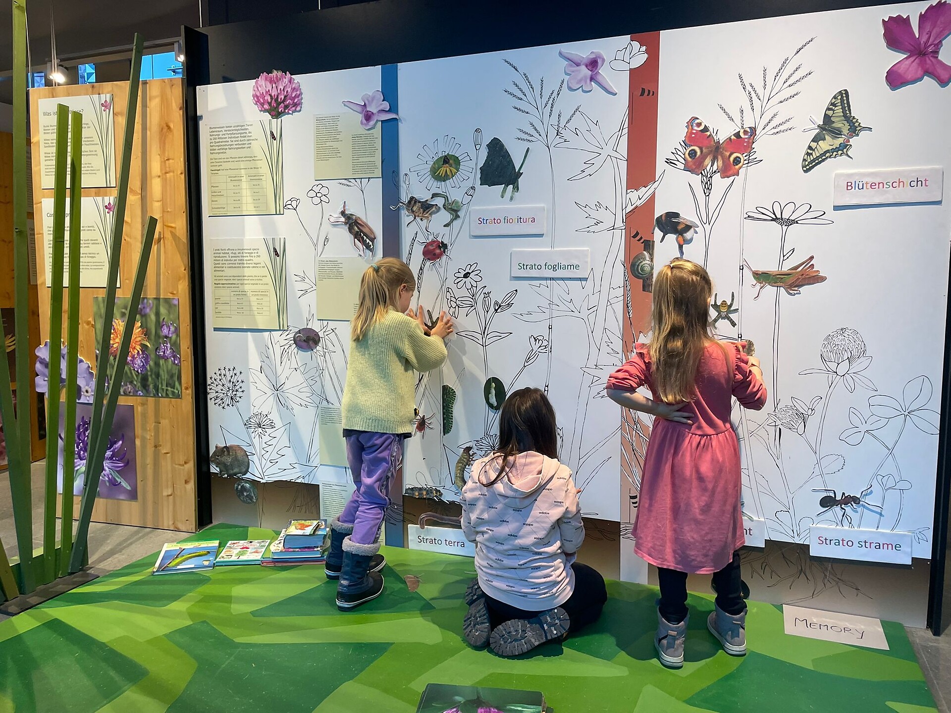 Daksys Naturwerkstatt im Naturparkhaus - Ahrntal - #2 - suedtirol.info