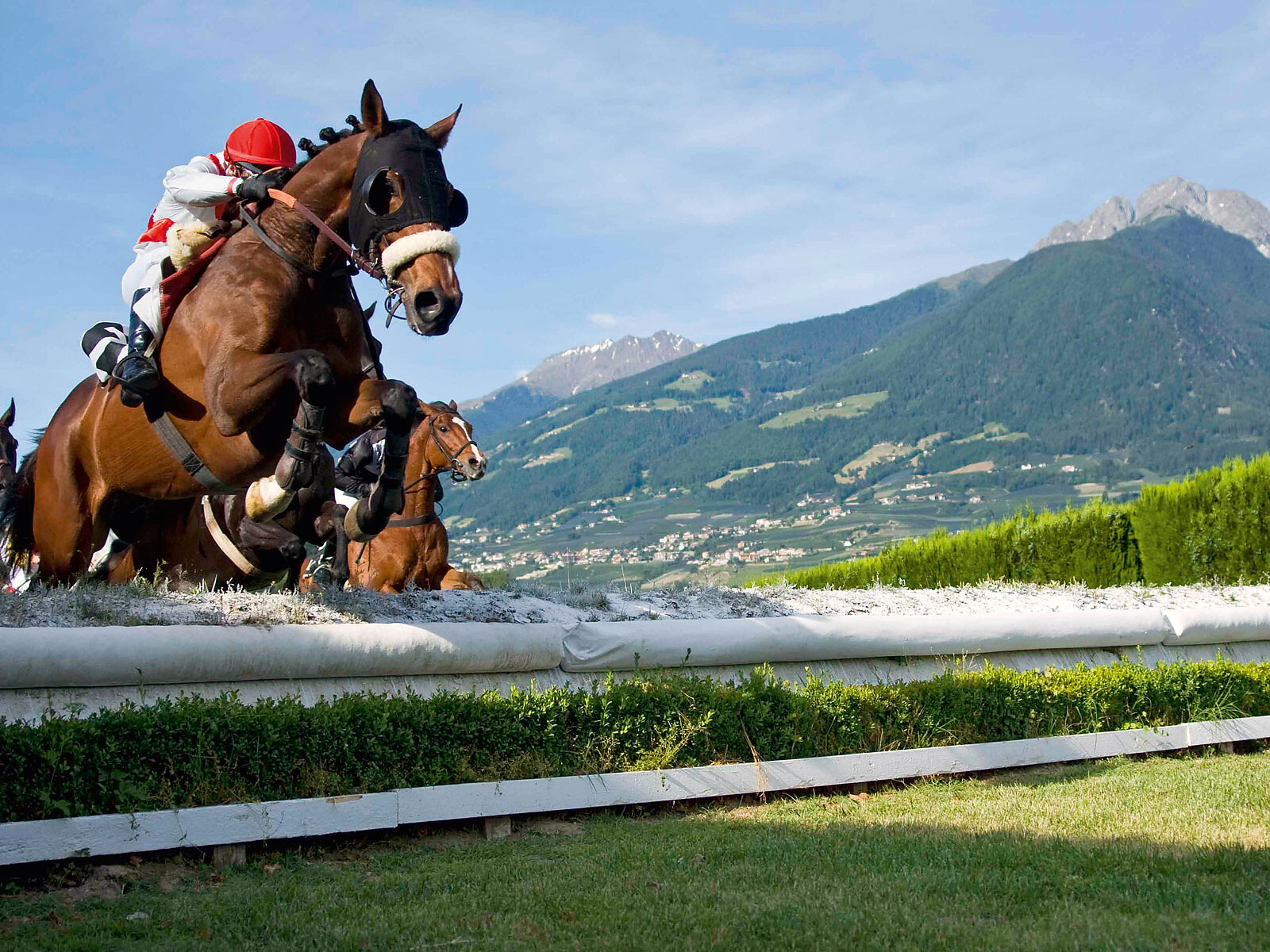 Dorf Tirol Day am Pferderennplatz Meran Tirol 1 suedtirol.info