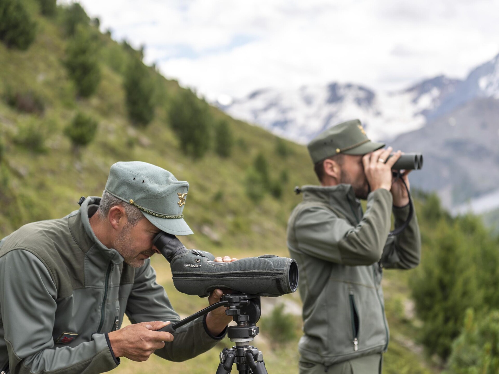 Die Brunft des Rothirsches - im Trafoital - Vinschgau - #2 - suedtirol.info