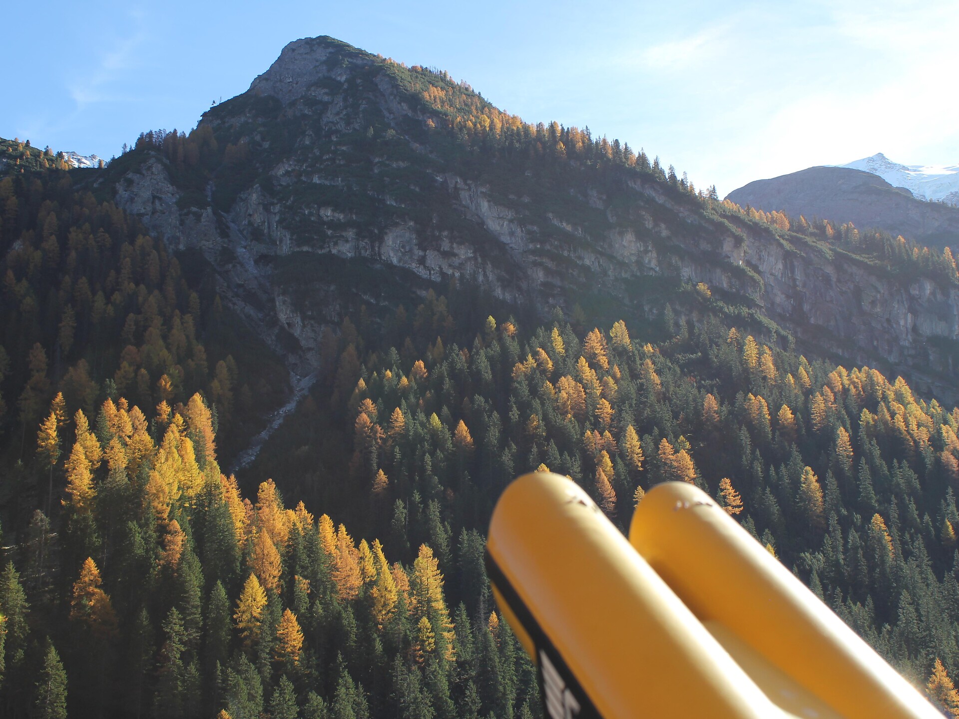 Die Brunft des Rothirsches - im Trafoital - Vinschgau - #3 - suedtirol.info