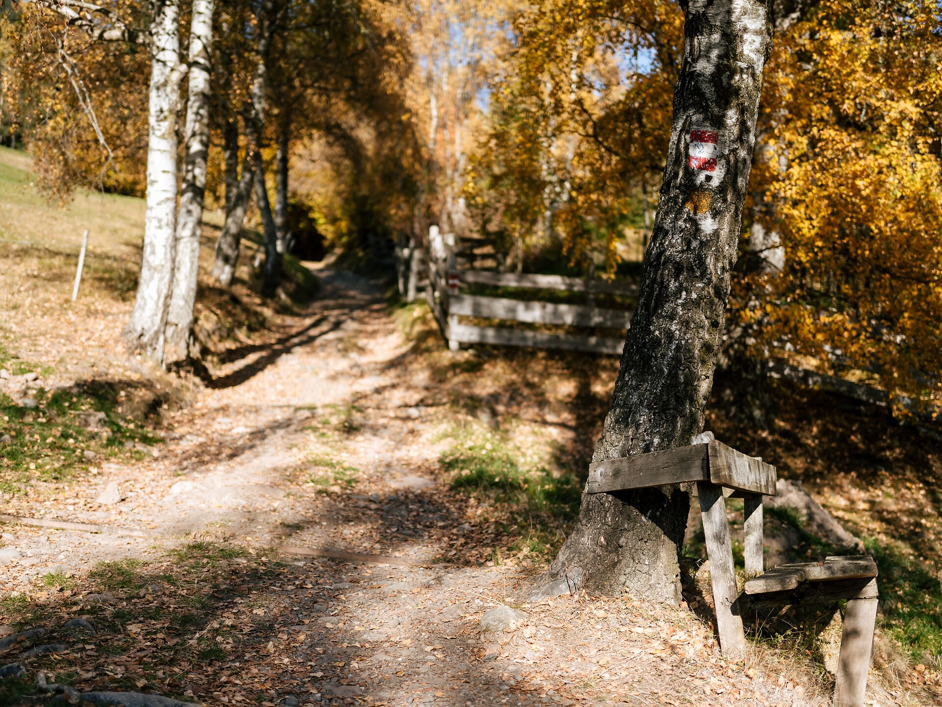 Der Kultur auf der Spur: Geführte Wanderung nach Dreikirchen und Umgebung Barbian 3 suedtirol.info