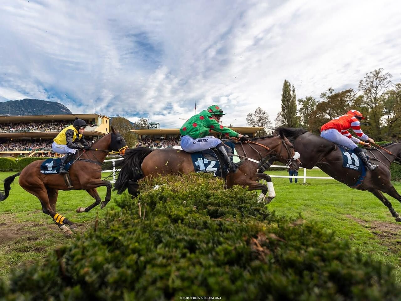 Die Rennsaison am Meraner Pferderennplatz - Meran und Umgebung - #3 - suedtirol.info