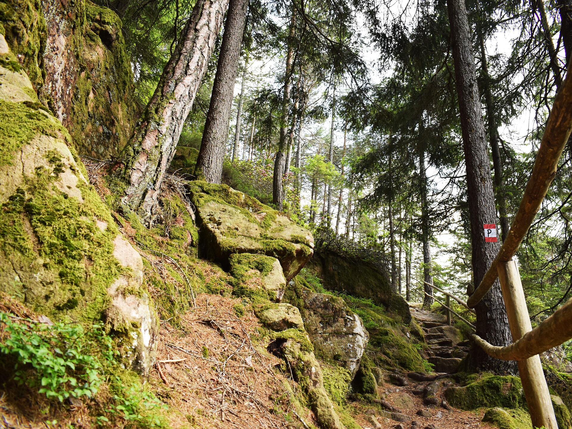 Der mystische Poststeig - Wanderung mit der Alpinschule Catores - Dolomitenregion Gröden - #1 - suedtirol.info