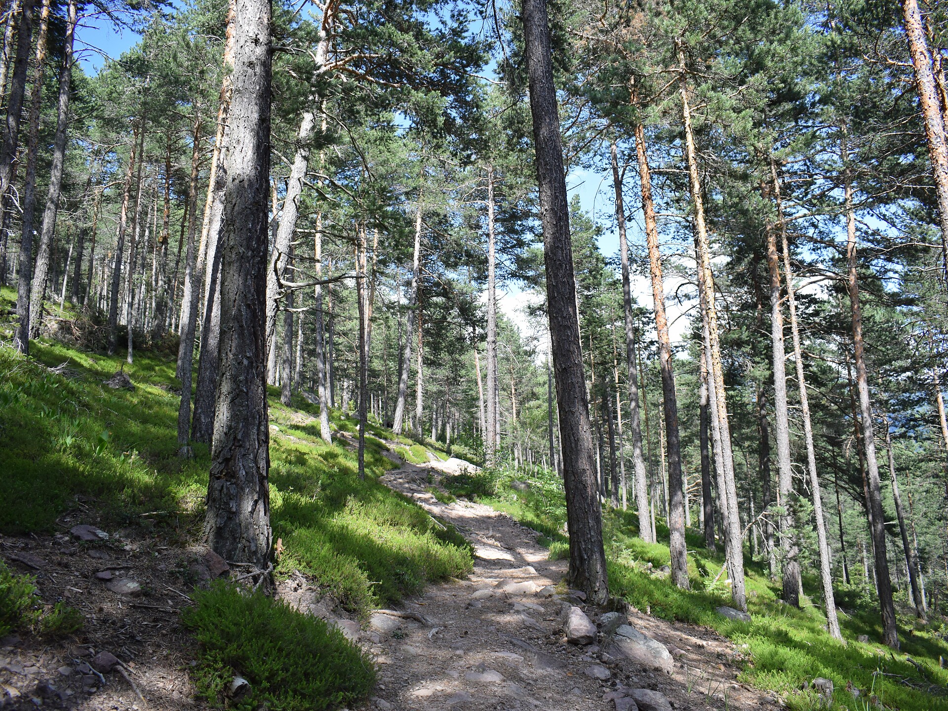 Der mystische Poststeig - Wanderung mit der Alpinschule Catores - Dolomitenregion Gröden - #2 - suedtirol.info