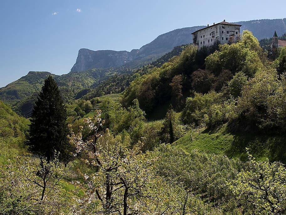 TESANA: Vivere la natura in modo speciale. Escursione dei canti degli uccelli Tesimo 2 suedtirol.info