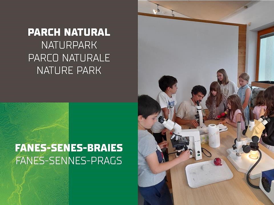 Daksys Natur Werkstatt - Sommer 2025 San Vigilio 1 suedtirol.info