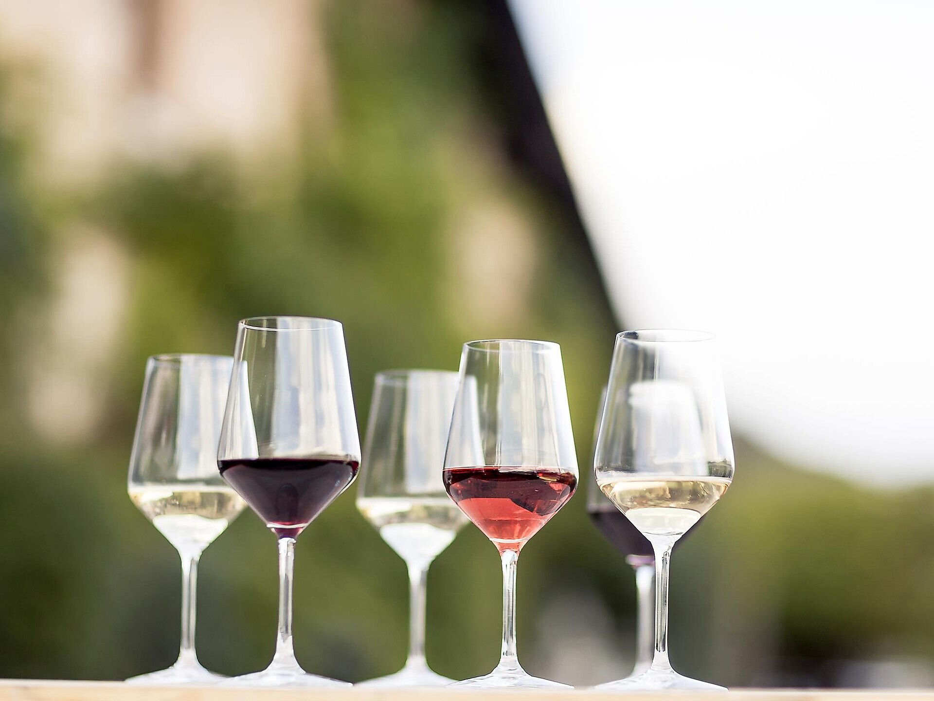 L'ABC approfondito del vino - Regione dolomitica Alpe di Siusi - #2 - suedtirol.info