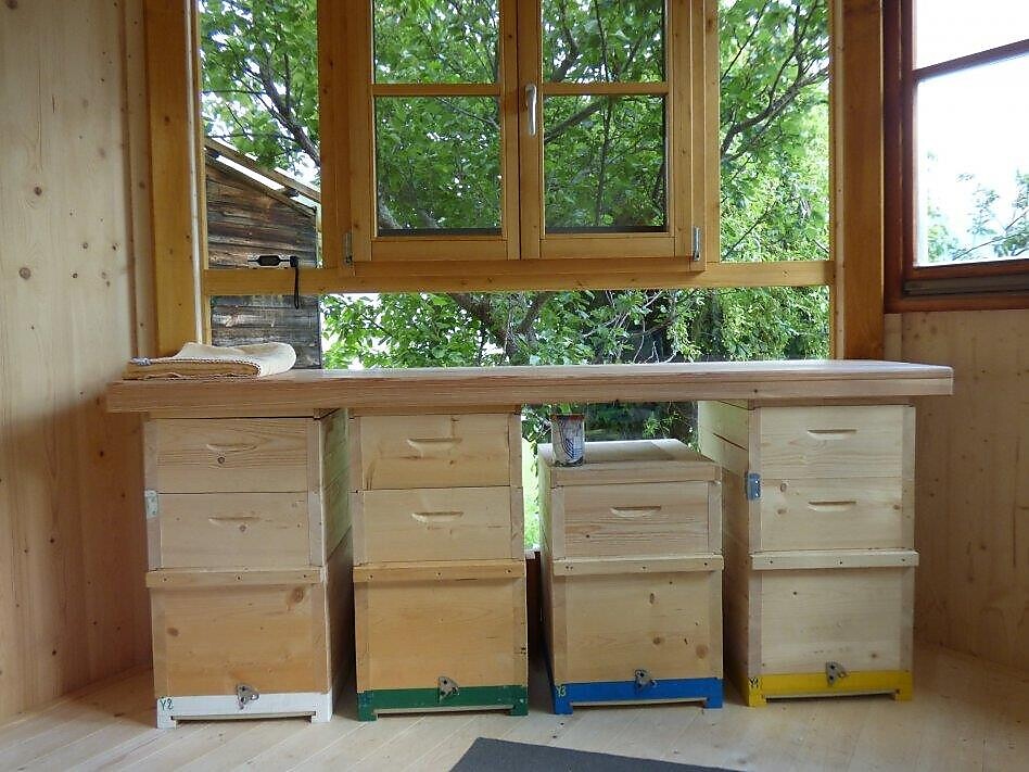 Die Welt der Bienen - Bienenführung - Dolomitenregion 3 Zinnen - #3 - suedtirol.info