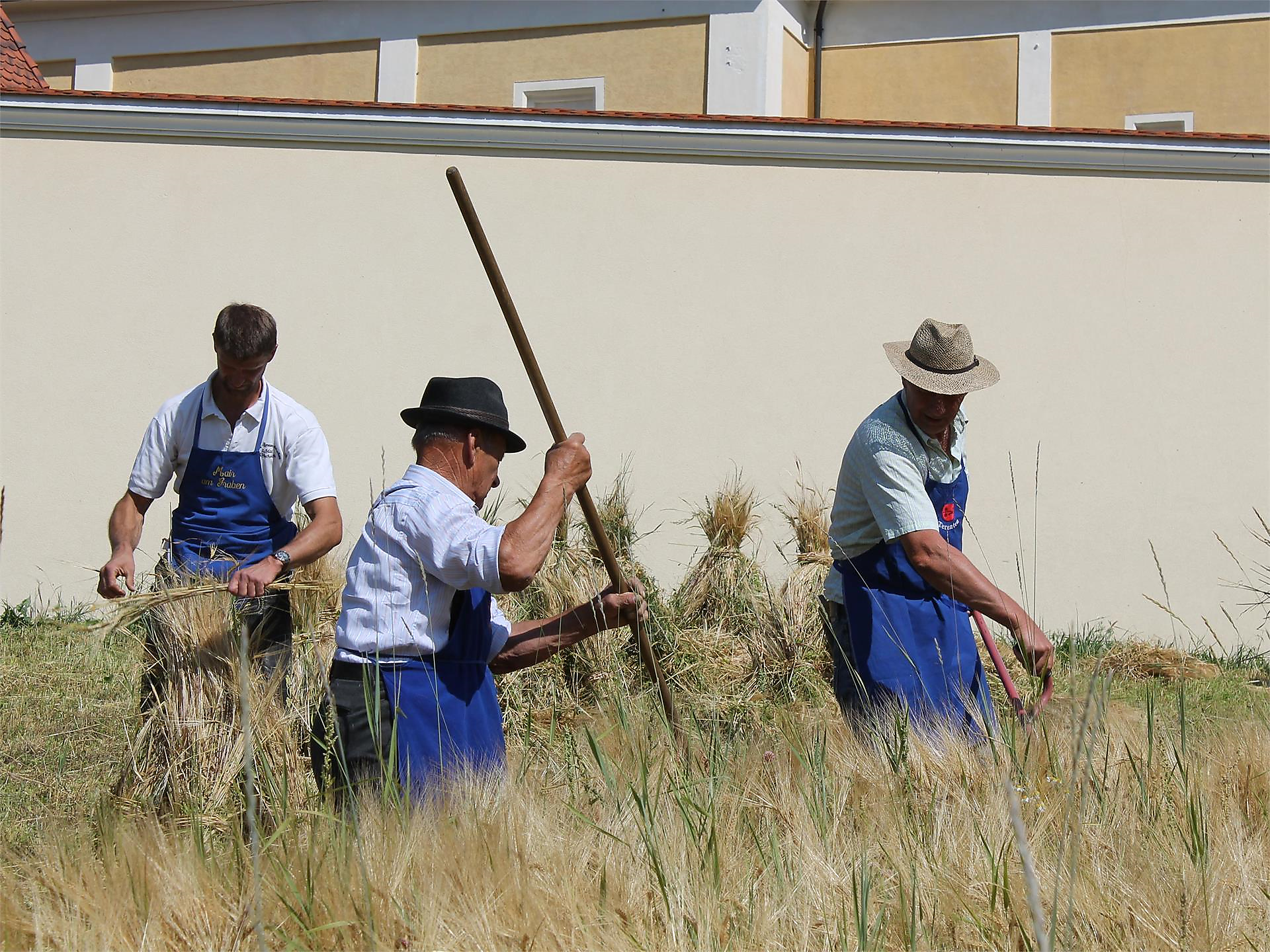 Festa della raccolta a Terento - Bressanone e dintorni - #2 - suedtirol.info