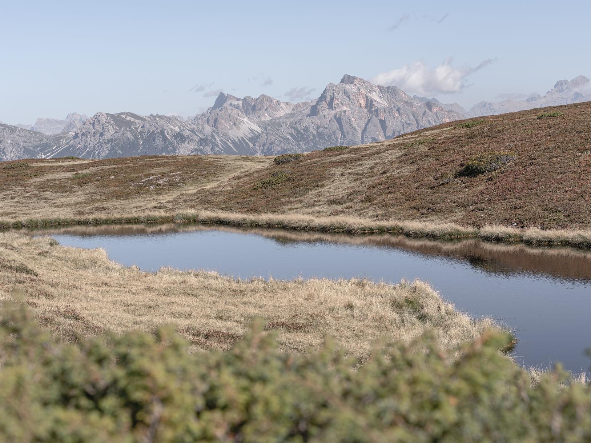 E-Bike: Malga di Rina - Regione dolomitica Plan de Corones - #1 - suedtirol.info