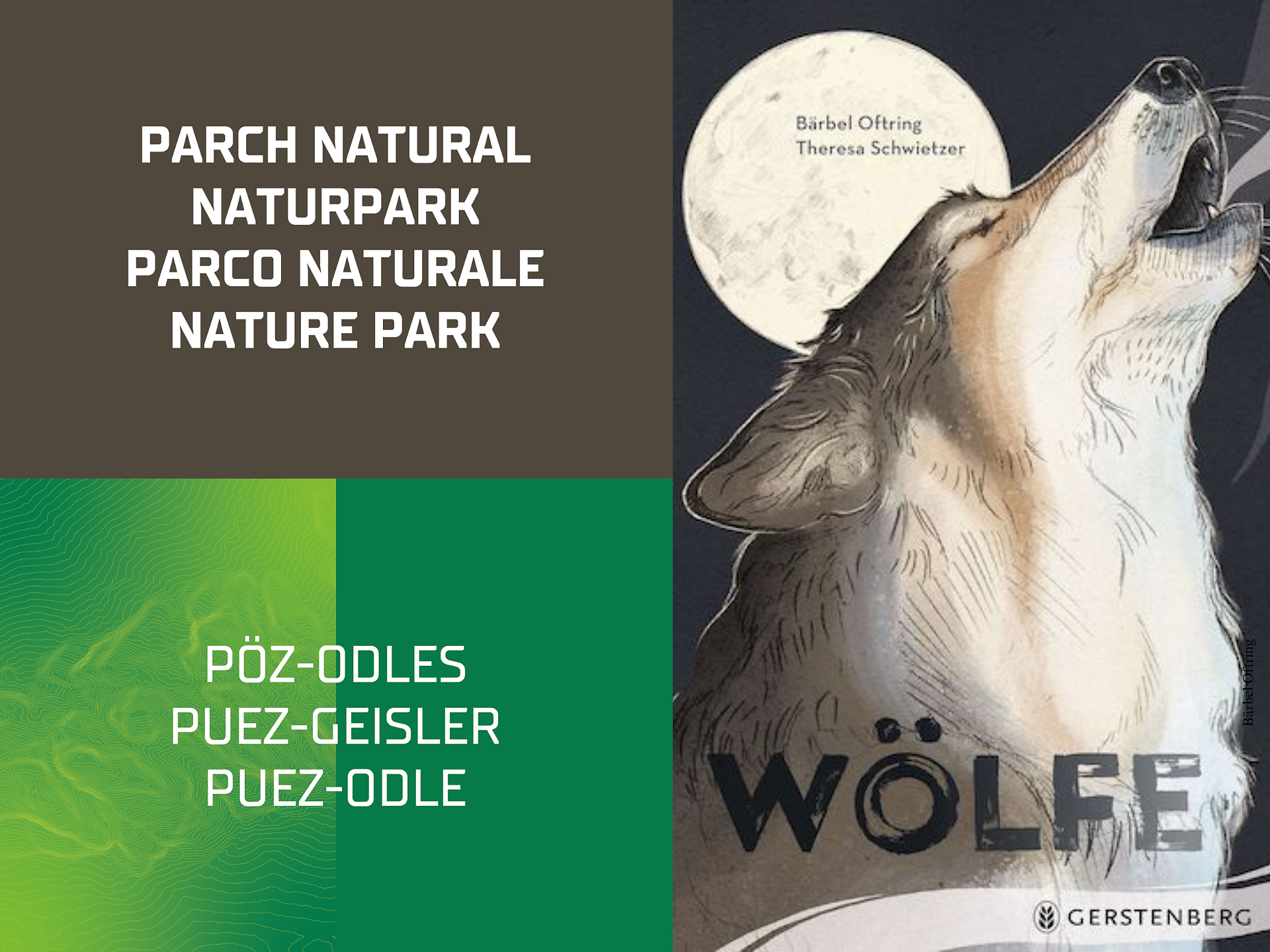 Erlebnislesung „Der Wolf“ mit Bärbel Oftring - Dolomitenregion Lüsen Villnöss - #1 - suedtirol.info