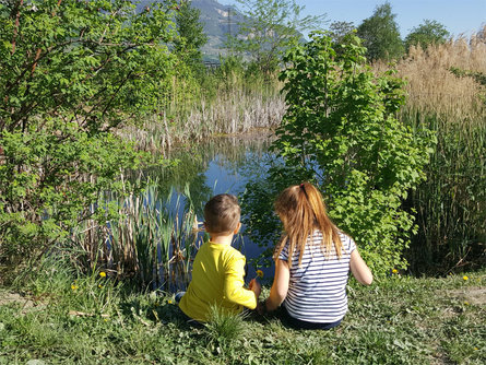 Tour di scoperta per bambini e famiglie Cortina sulla Strada del Vino 1 suedtirol.info