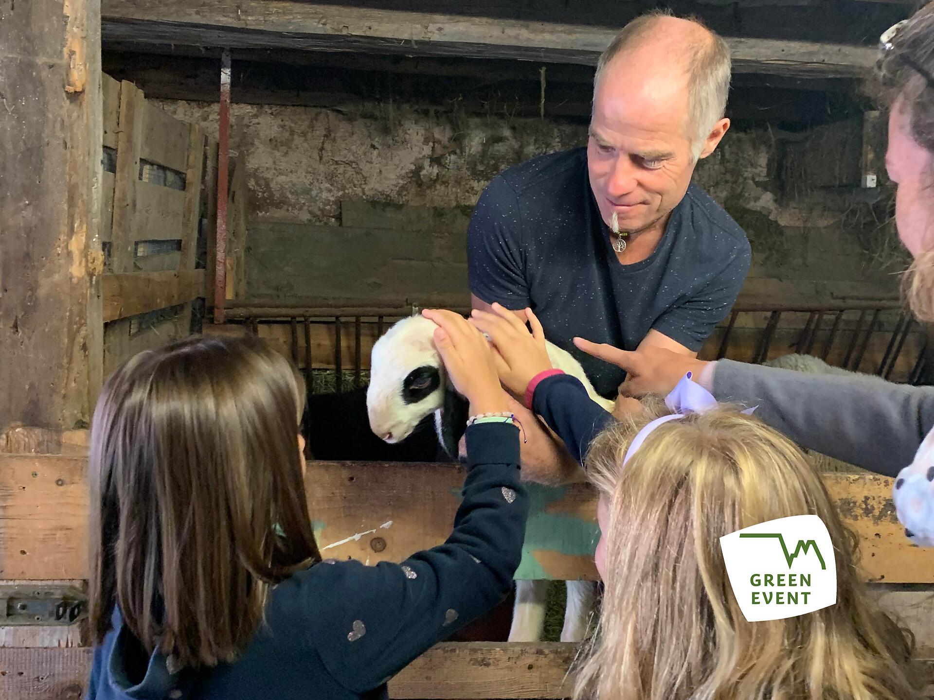 Erlebnis Bauernhof: Rund ums Schaf - Dolomitenregion Seiser Alm - #1 - suedtirol.info