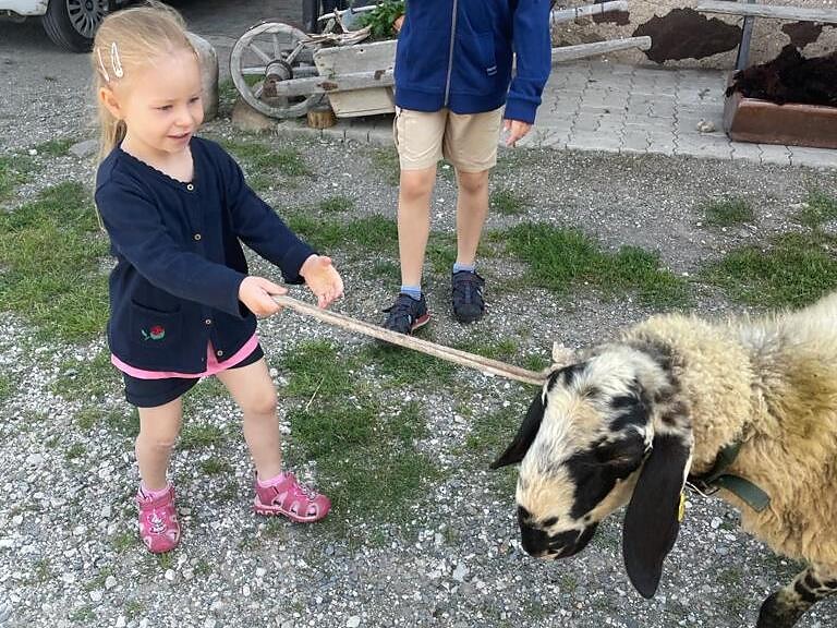 Erlebnis Bauernhof: Rund ums Schaf Kastelruth 2 suedtirol.info
