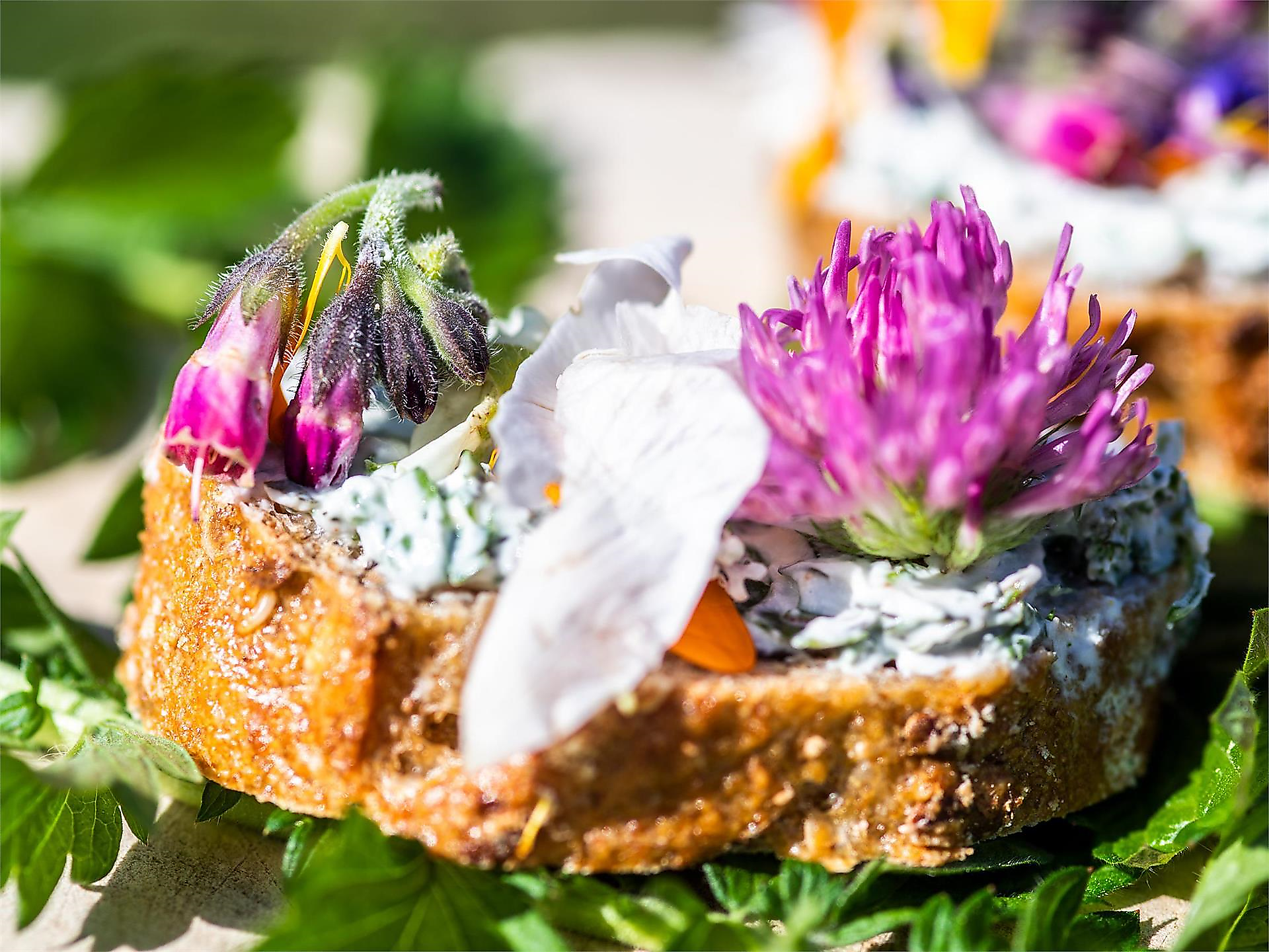 Un'erba aromatica per ogni occasione - Strada del Vino - #3 - suedtirol.info