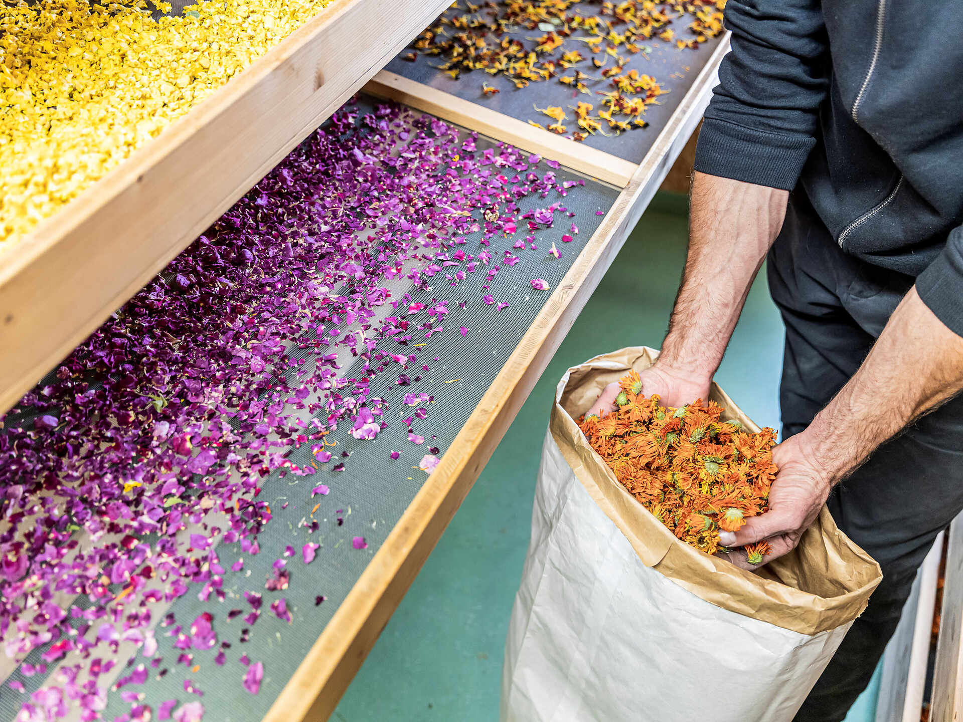 Experience Alpine herbs at the farm Botenhof - Herb Gardens Wipptal - Sterzing/Vipiteno and environs - #1 - suedtirol.info