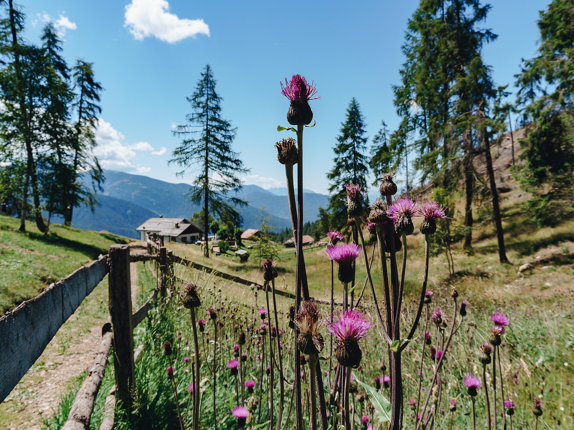 Alla scoperta del Parco Naturale Monte Corno: Escursione nella natura -  - #2 - suedtirol.info