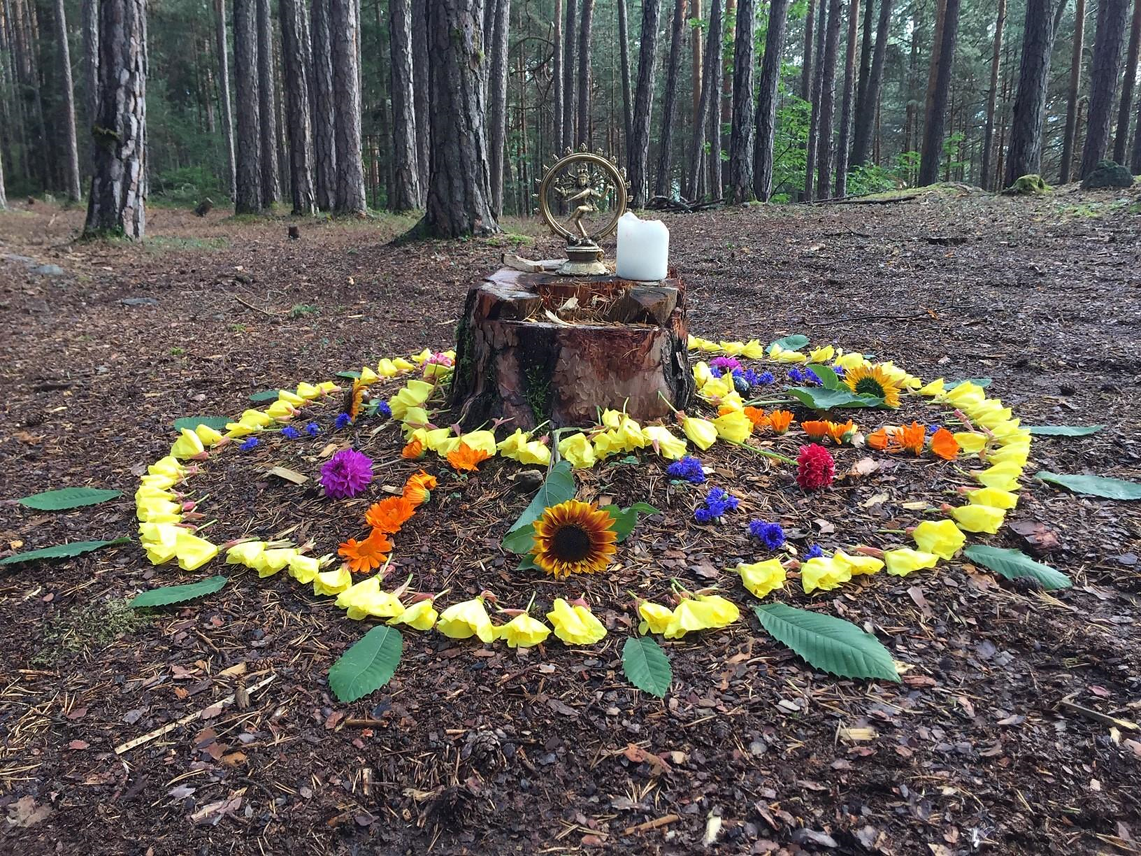Erleben, Entspannen mit Prana Vinyasa Yoga im Wald Barbian 2 suedtirol.info