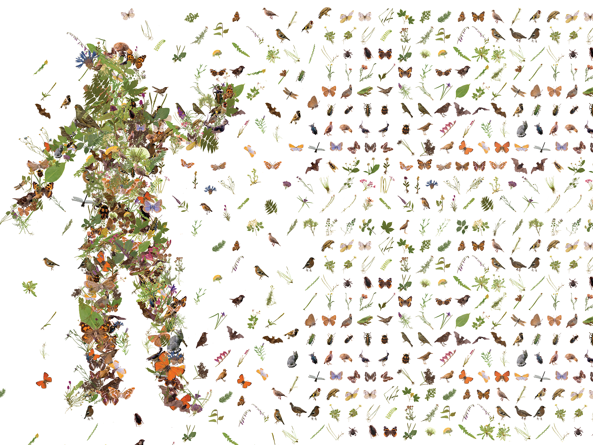 Echoed Nature! Die Biodiversität im Wandel der Zeit - Sonderausstellung - Meran und Umgebung - #3 - suedtirol.info