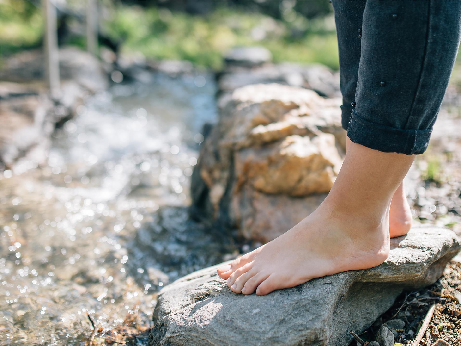 Escursione avventura "Kneipp" - Merano e dintorni - #1 - suedtirol.info