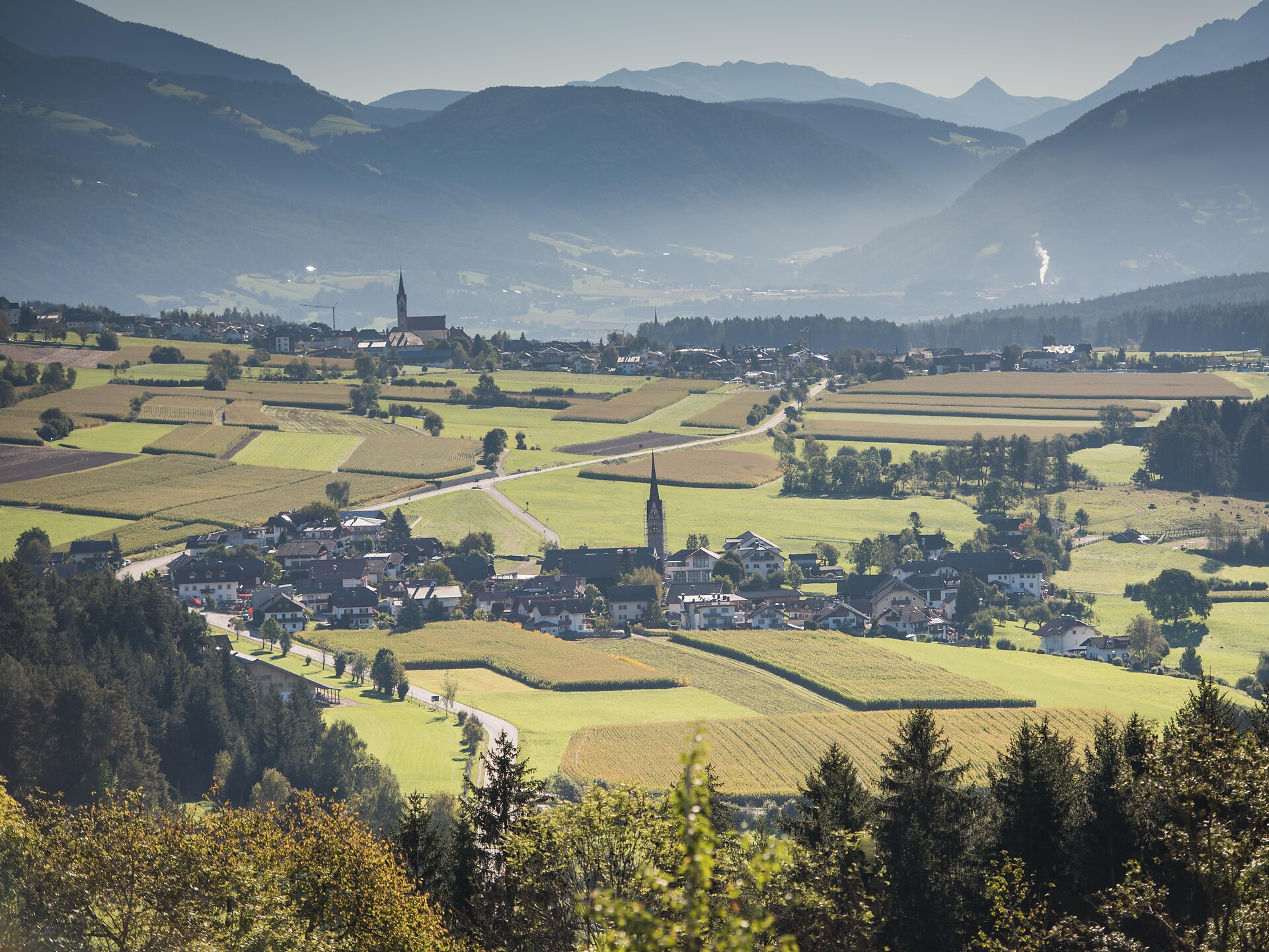 Erlebniswanderung Sonnenplateau Pfalzen-Issing Pfalzen 1 suedtirol.info