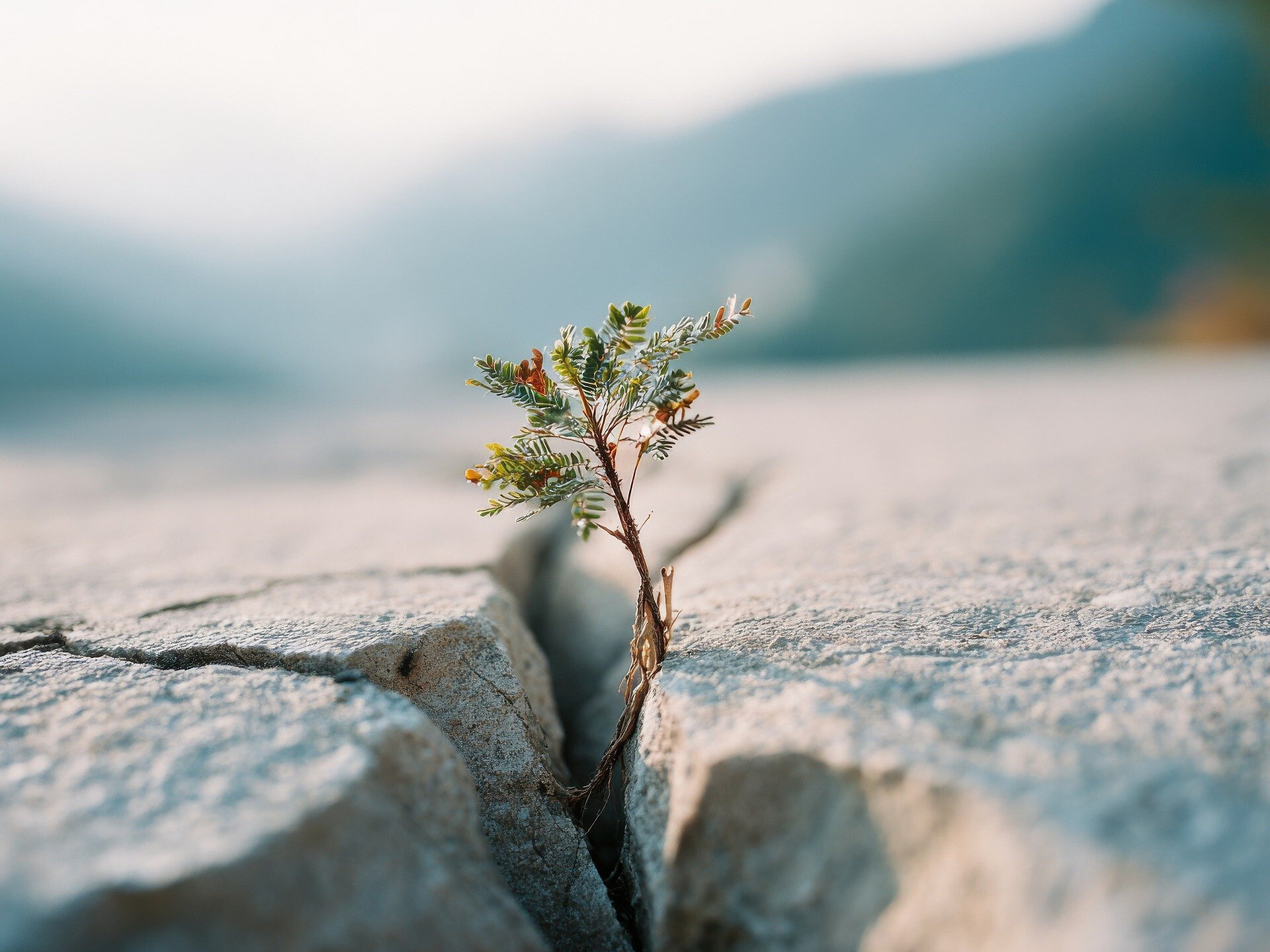 Emotionale Resilienz meistern – Wie du Stress besser verstehst und regulierst - Meran und Umgebung - #1 - suedtirol.info