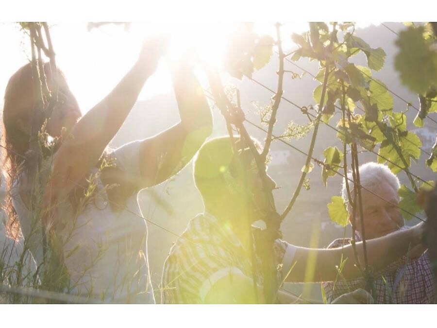 Ebner Wine Experience Ritten 1 suedtirol.info