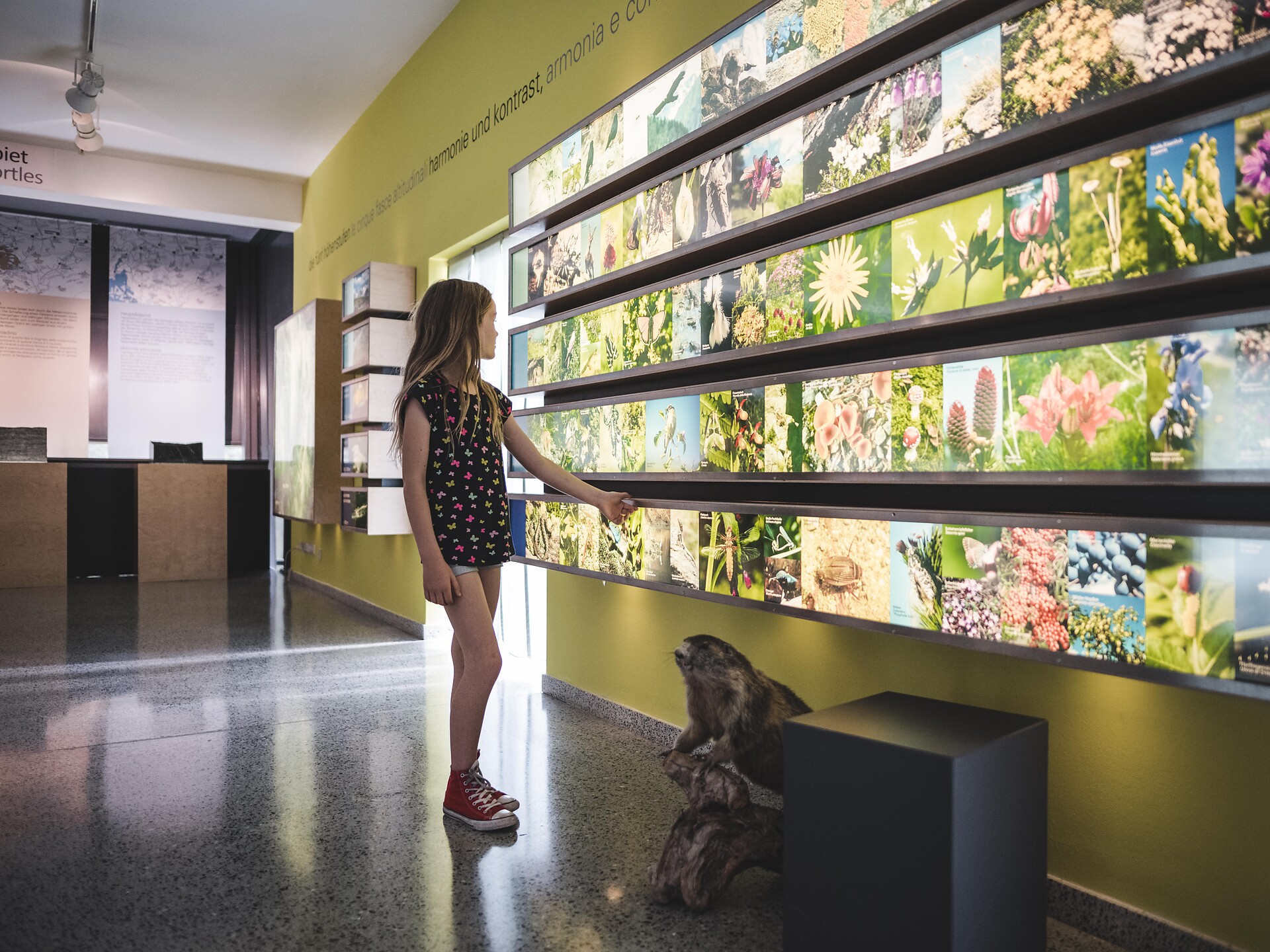 Erlebnisfahrt über das Stilfserjoch mit Besuch im Nationalparkhaus naturatrafoi Graun im Vinschgau 2 suedtirol.info