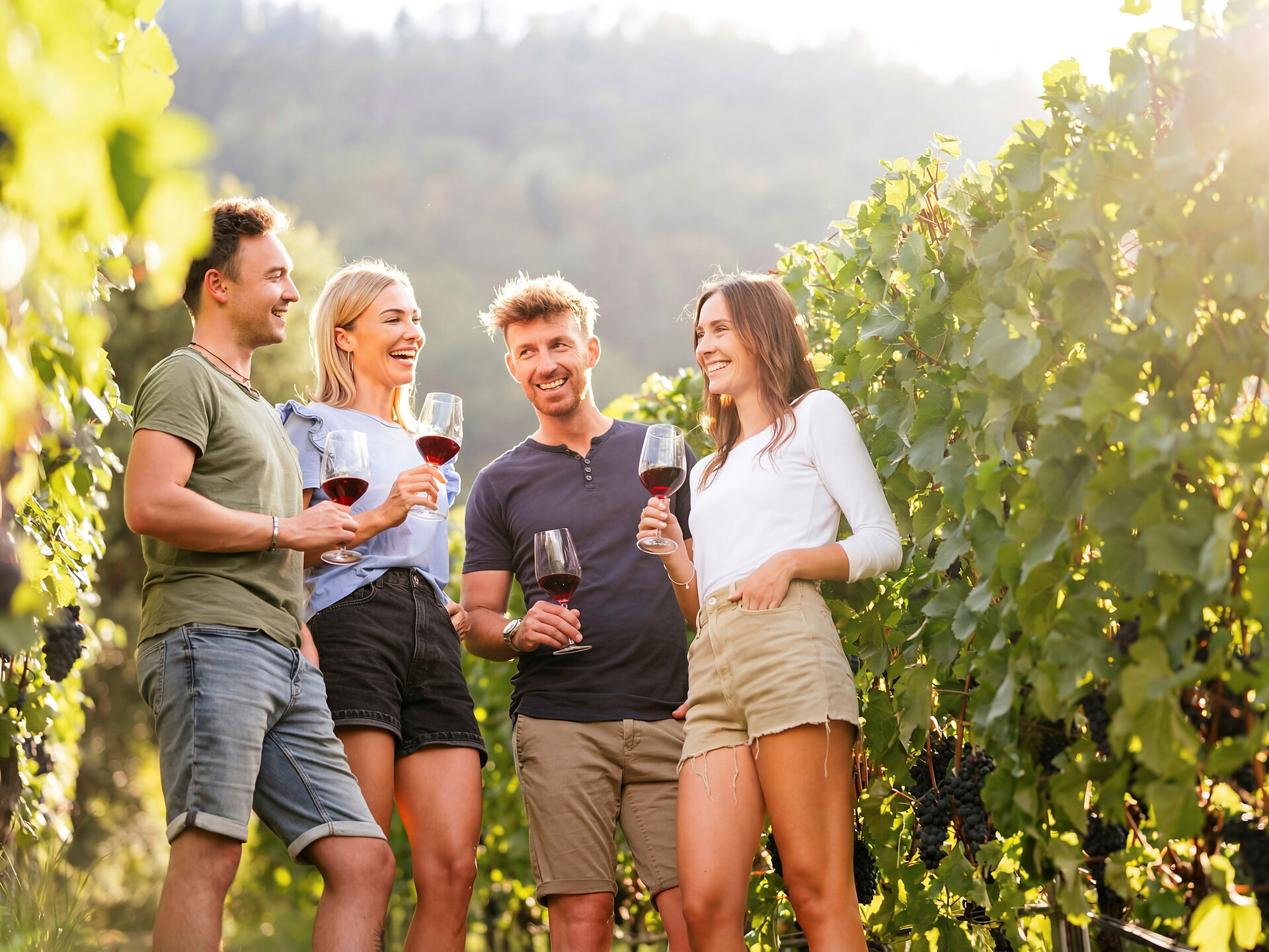 Ein Sommerabend im Weingut Hillepranter - Meran und Umgebung - #3 - suedtirol.info