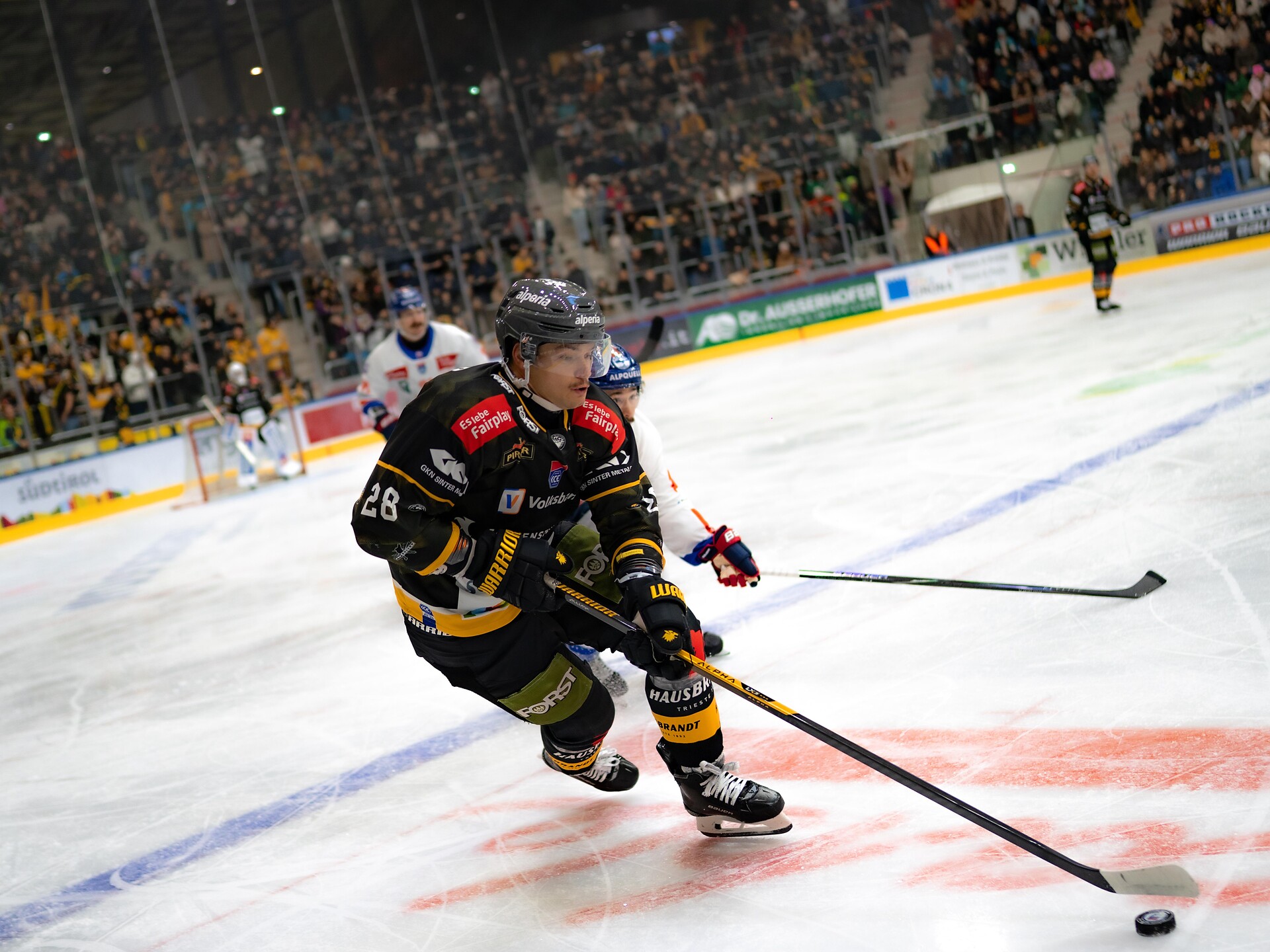 Ice Hockey Match: HC Falkensteiner Pustertal - Steinbach Black Wings Linz - Dolomites Region Kronplatz/Plan de Corones - #2 - suedtirol.info
