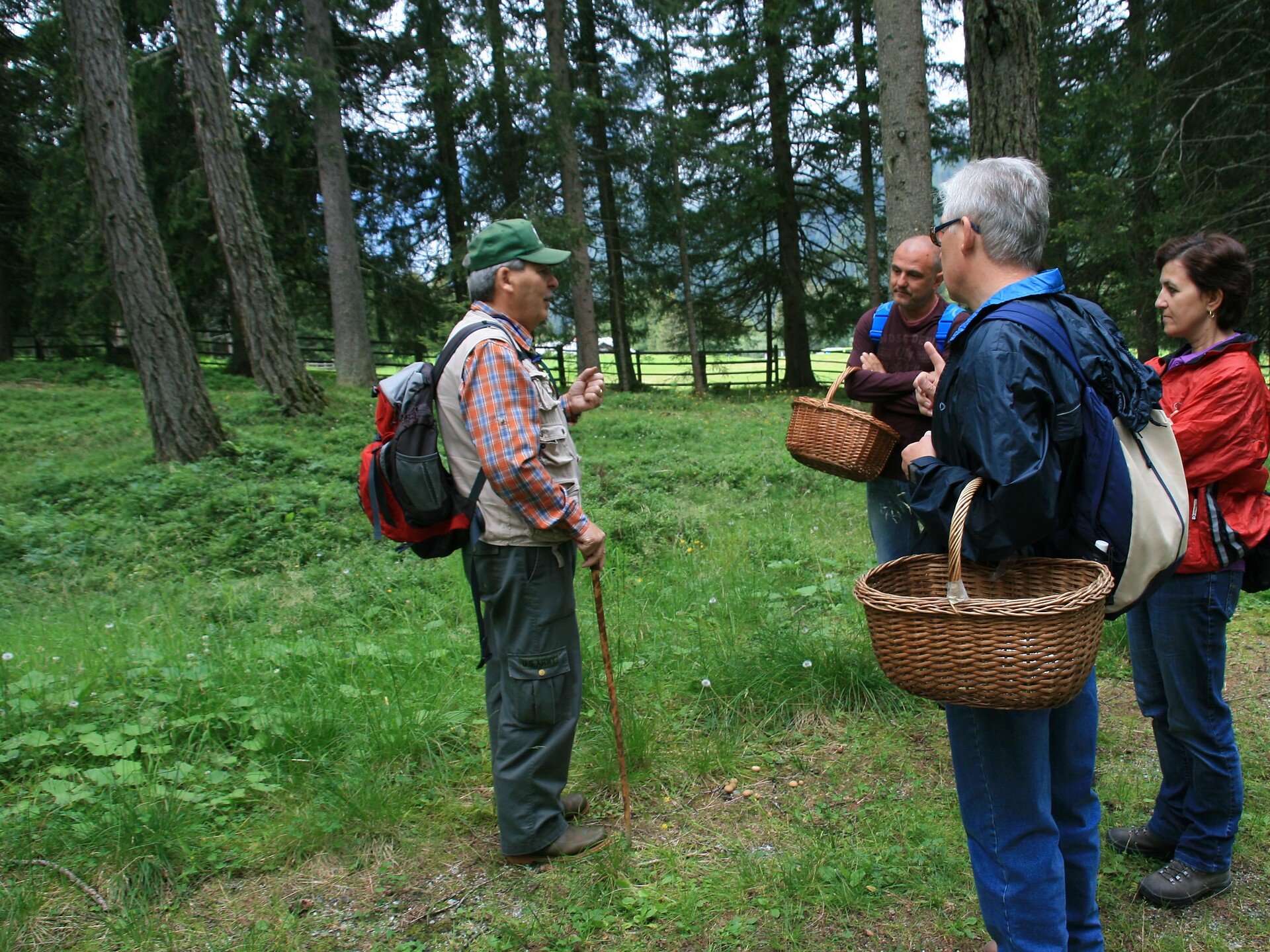 Explore the mushrooms world - half day stroll Rasen-Antholz/Rasun Anterselva 2 suedtirol.info