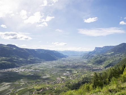 Experience Mountain Farm – from Farm to Farm at the Marlengo mountain Marling/Marlengo 2 suedtirol.info