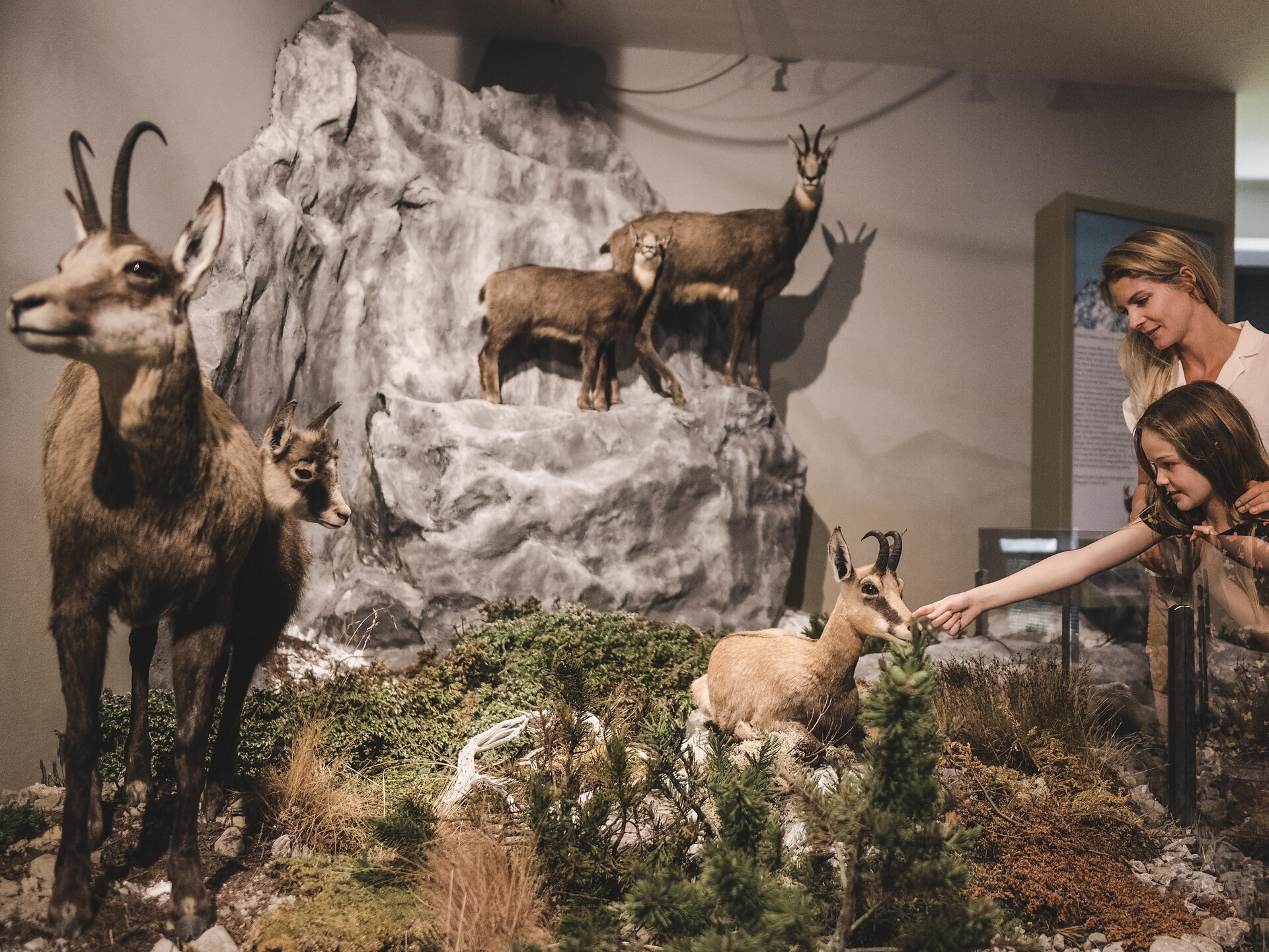 Erlebnisfahrt zum Stilfserjoch - Vinschgau - #2 - suedtirol.info