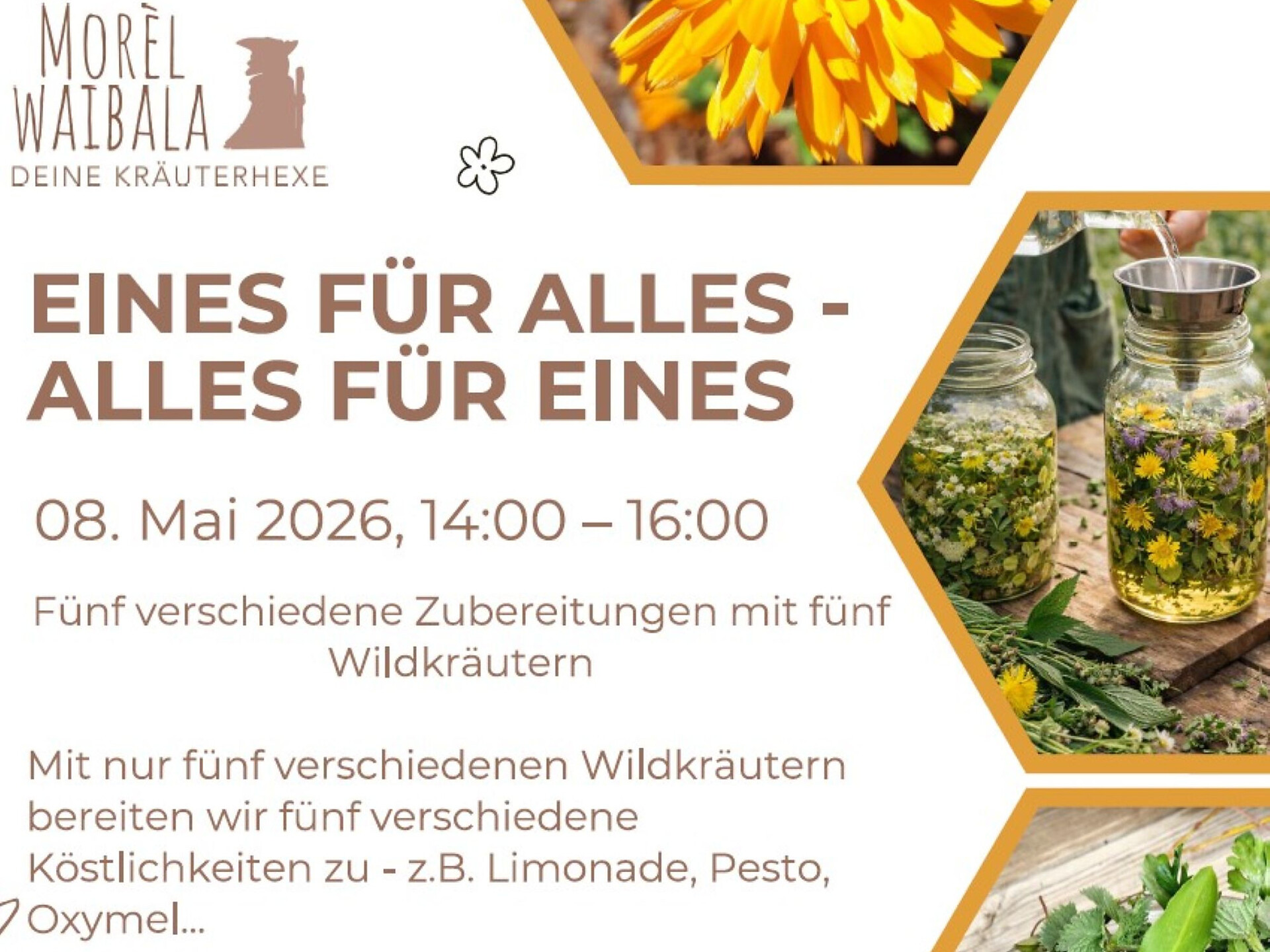 Eines für alles - alles für eines -  - #1 - suedtirol.info