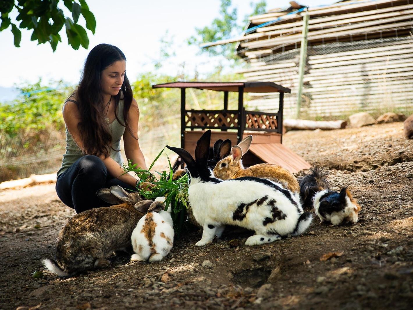 Un universo in fattoria: Incontro con gli animali al maso - Regione dolomitica Alpe di Siusi - #1 - suedtirol.info