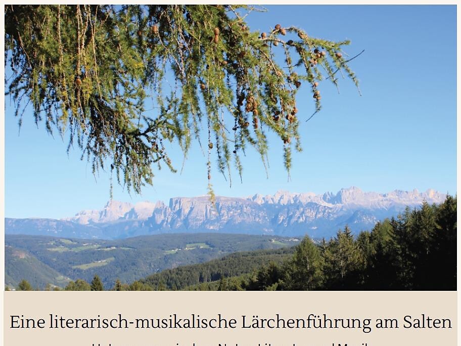 Una passeggiata letteraria e musicale tra le larici al Salten. - Bolzano e dintorni - #1 - suedtirol.info