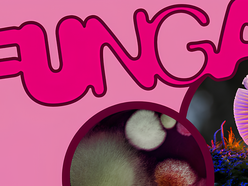 Inaugurazione della mostra temporanea FUNGA – un mondo nascosto - Bolzano e dintorni - #1 - suedtirol.info