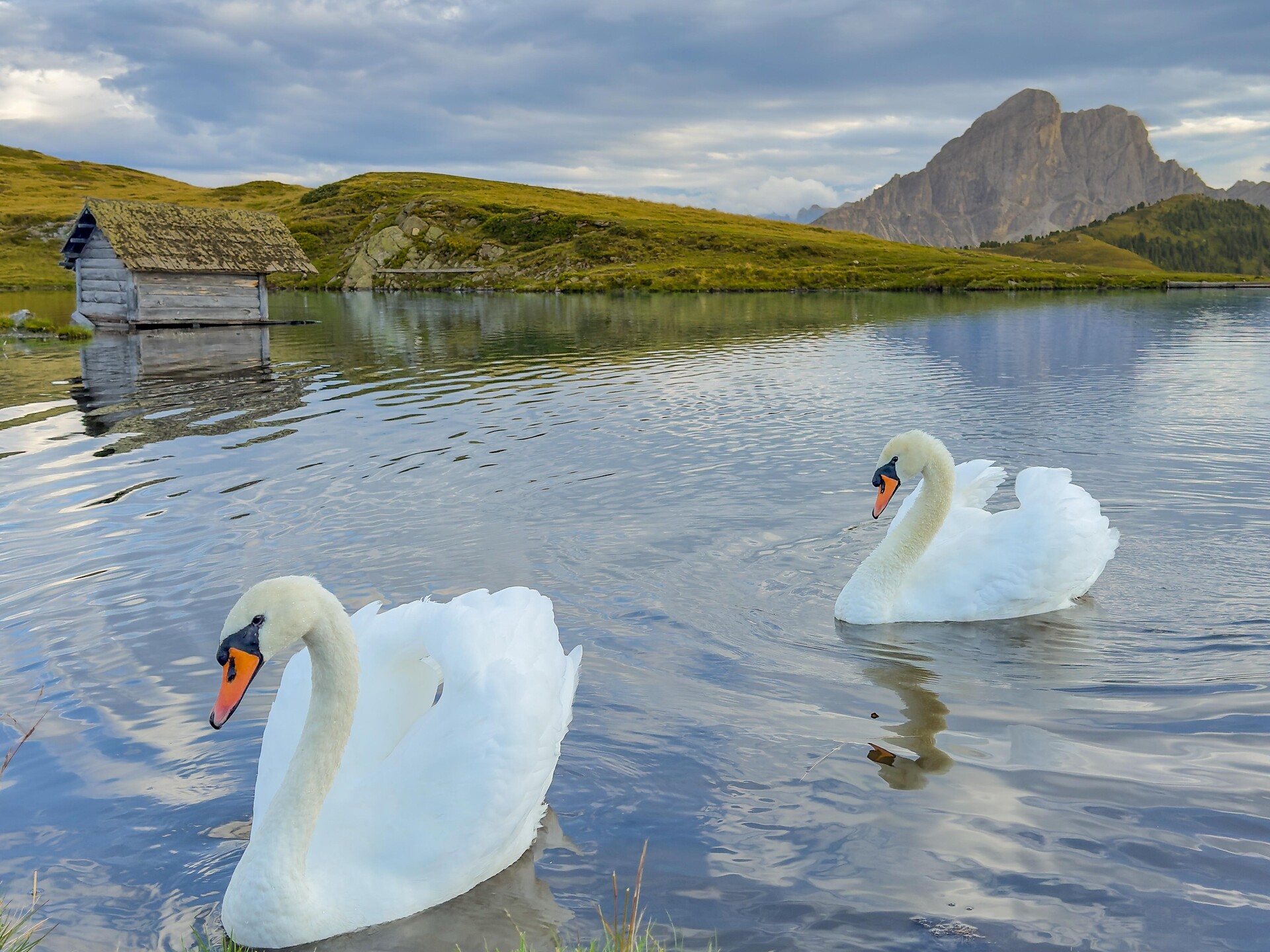 Discover unspoilt nature – an adventure not to be missed - Dolomites Region Kronplatz/Plan de Corones - #3 - suedtirol.info