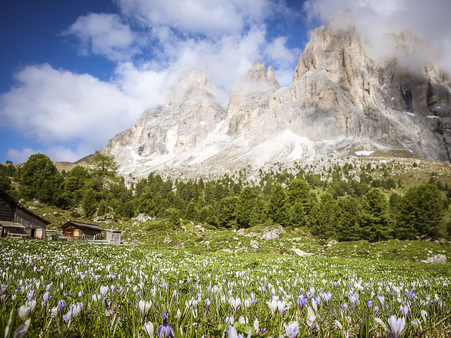 Un’escursione reale: lungo il sentiero Federico Augusto Selva 3 suedtirol.info