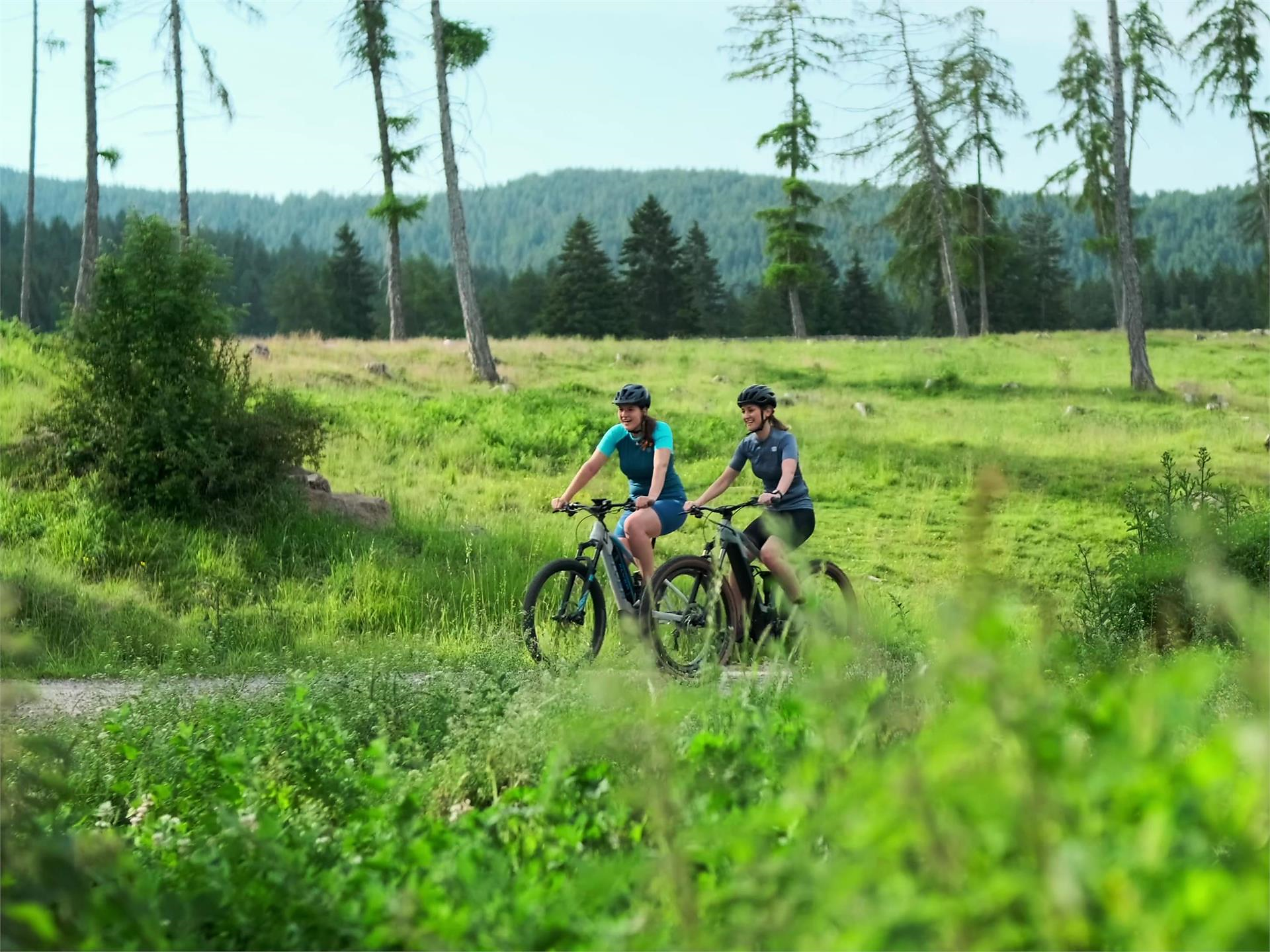E-Mountainbike Hütten- und Trail-Runde inkl. Fahrtechniktipps Hafling 3 suedtirol.info