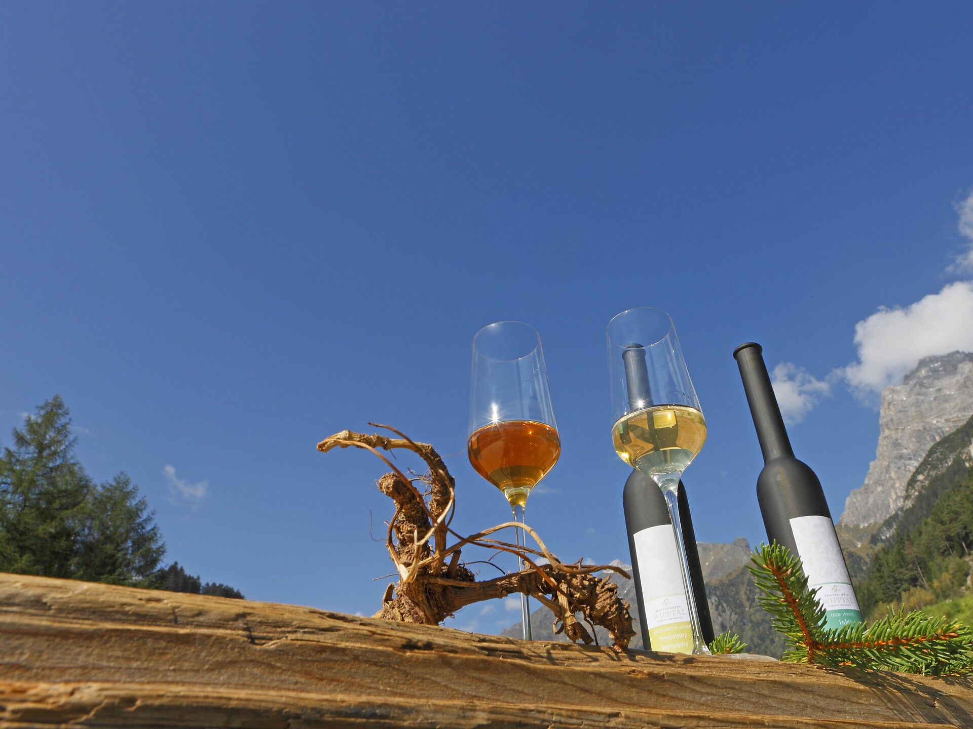 Alla scoperta delle erbe alpine all’ erboristeria alpina Botenhof Brennero 2 suedtirol.info