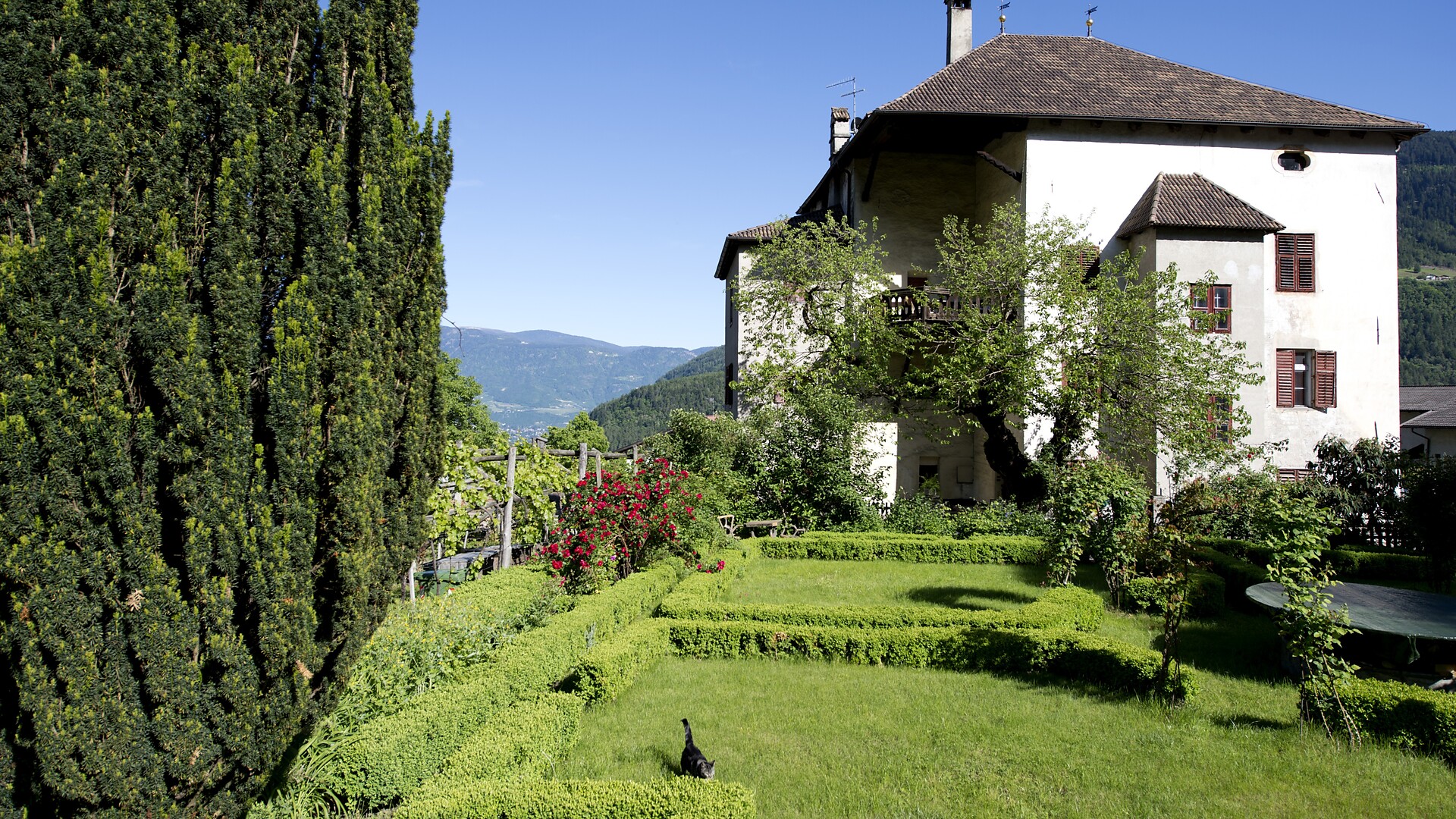 Entspannt und Vital mit Yoga - Meran und Umgebung - #2 - suedtirol.info