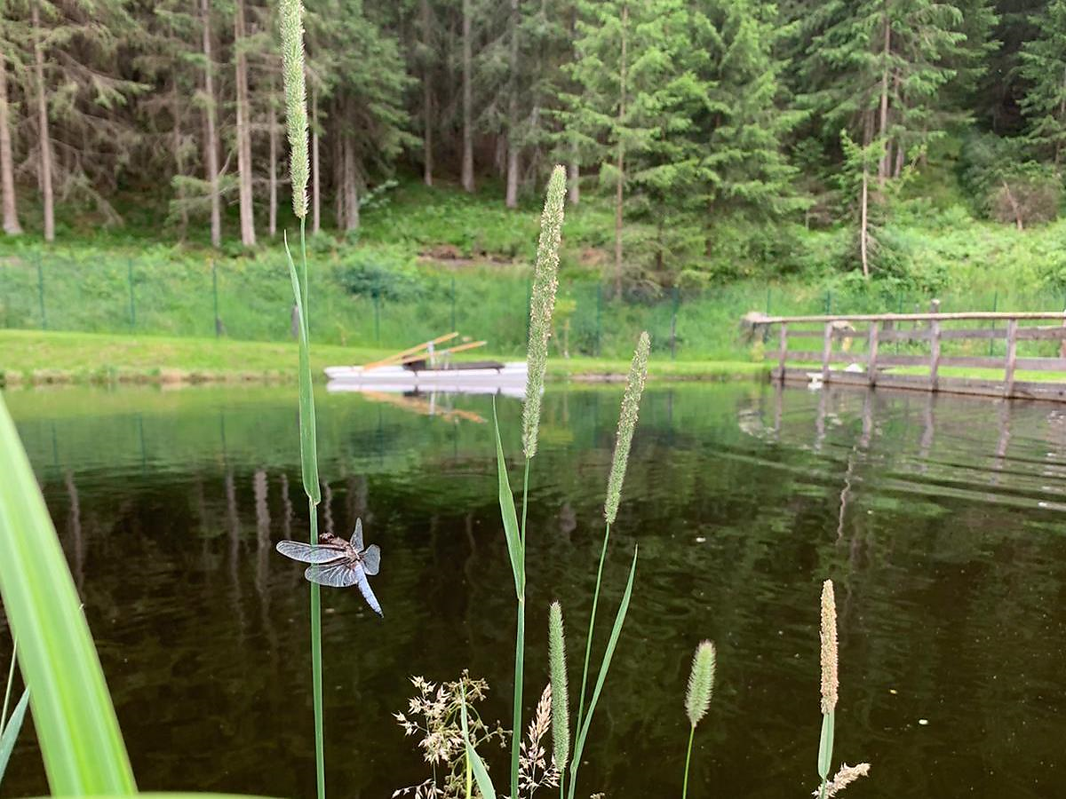 Erlebnisfischen mit Familien und Kinder - Brixen und Umgebung - #3 - suedtirol.info