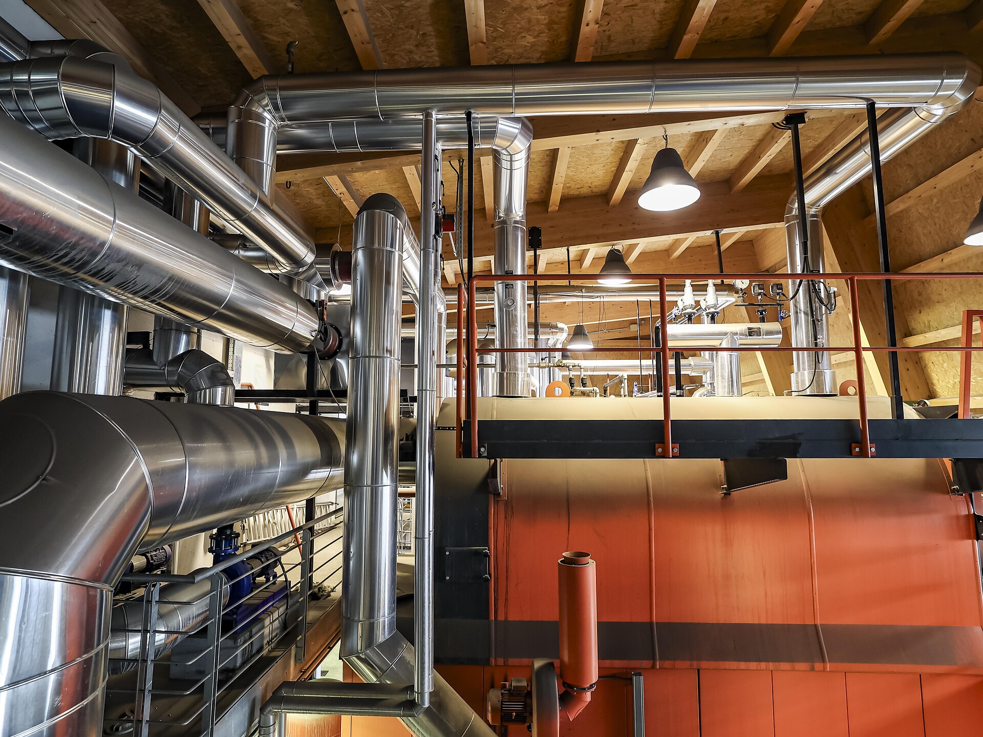 Energie des Waldes - spür die Kraft der Natur - Dolomitenregion Eggental - #3 - suedtirol.info