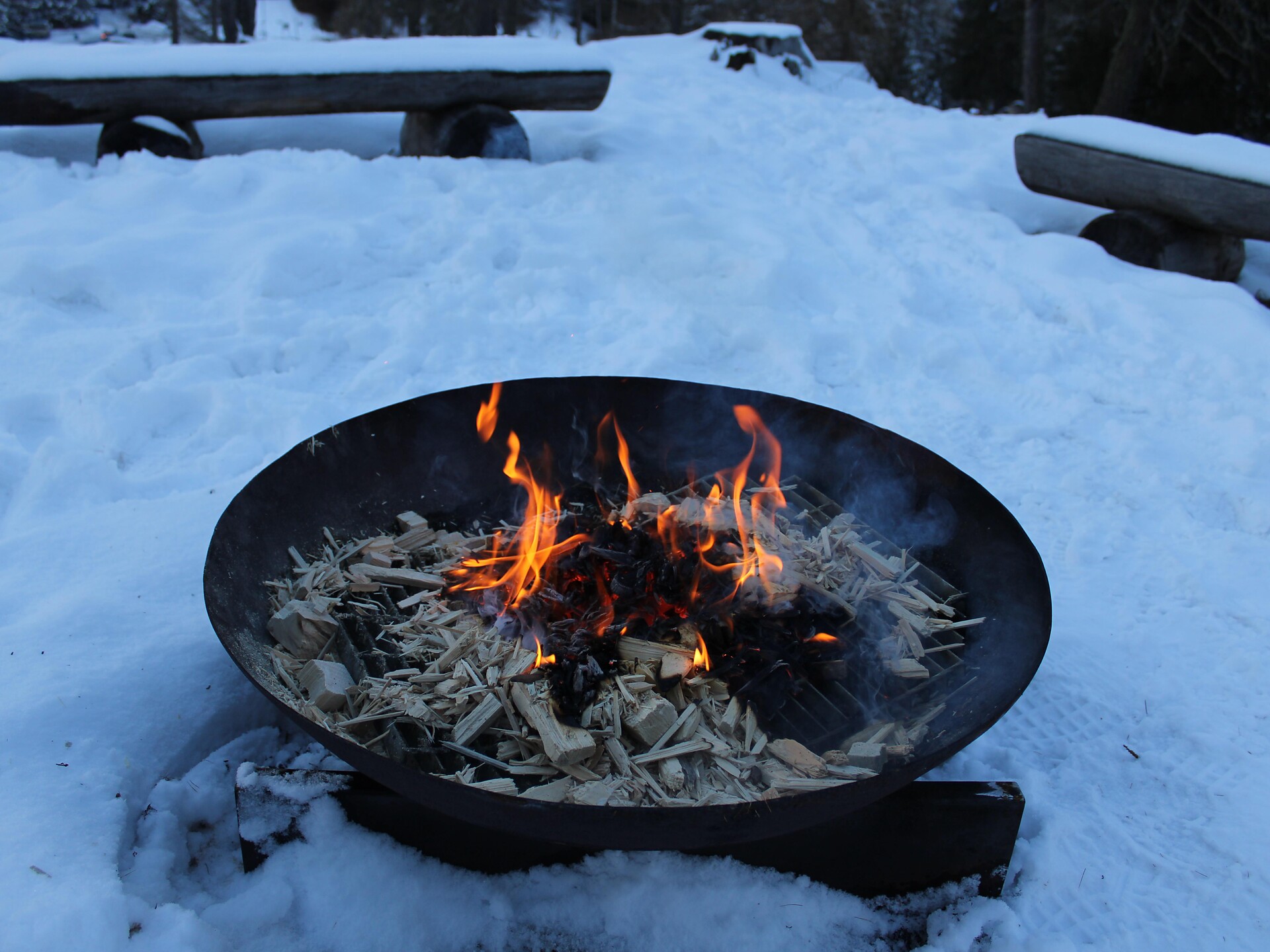 Energie des Waldes - spür die Kraft der Natur - Dolomitenregion Eggental - #2 - suedtirol.info