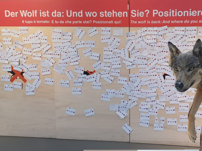 Inaugurazione della mostra temporanea - Regione dolomitica Alpe di Siusi - #2 - suedtirol.info