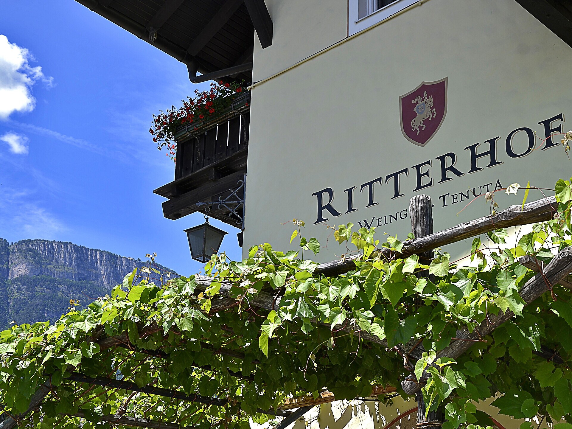 Erlebnis Weinverkostung Weingut Ritterhof 2025 Donnerstag Kaltern an der Weinstraße 1 suedtirol.info