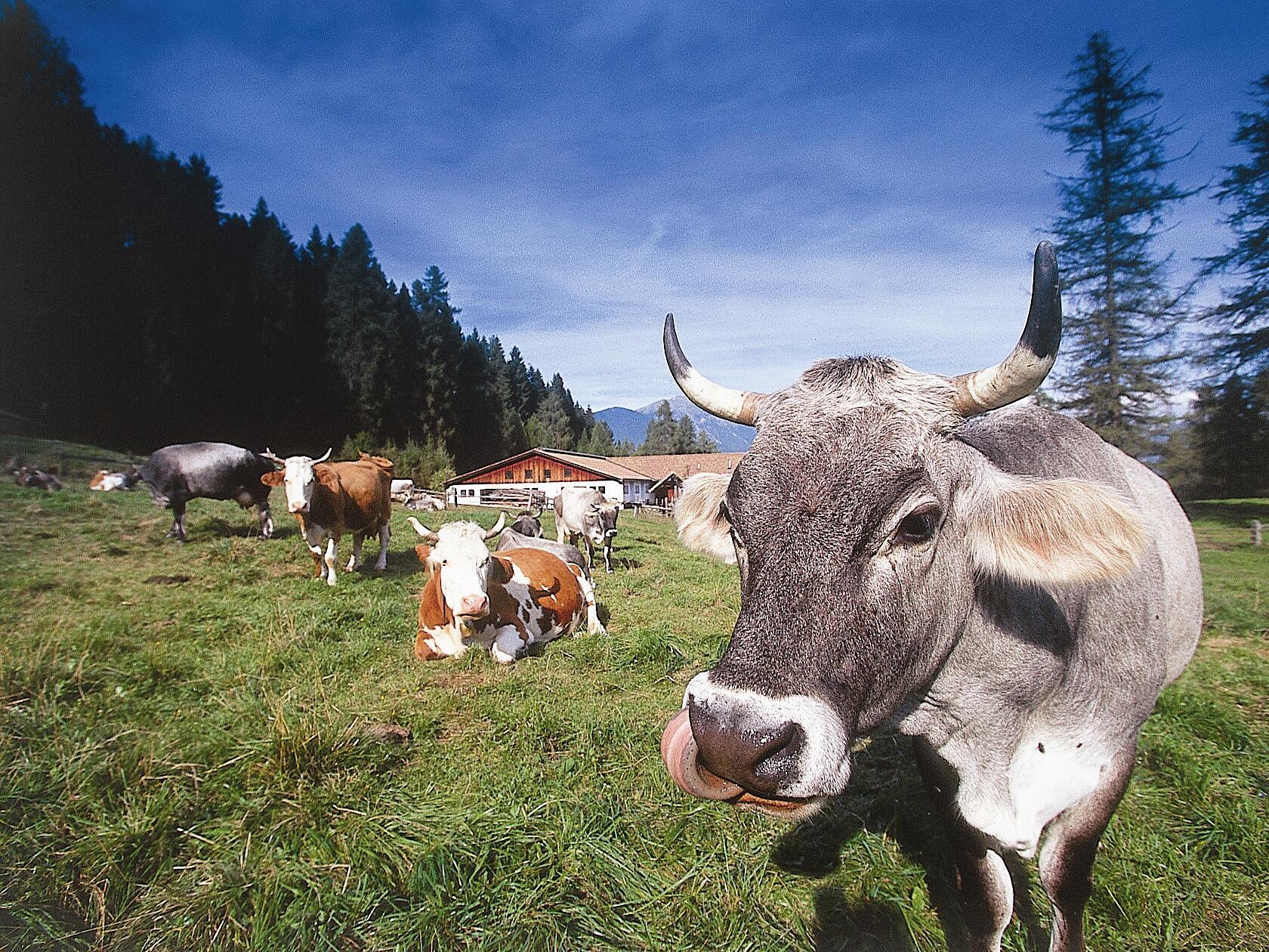 Scopri un tempo sommerso e quello visibile durante un'escursione guidata Anterivo 1 suedtirol.info