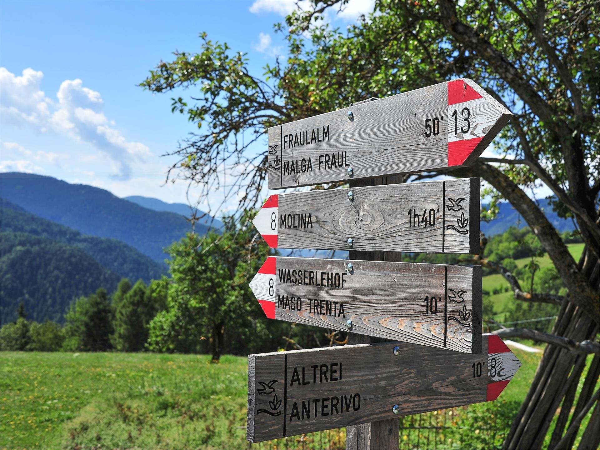 Scopri un tempo sommerso e quello visibile durante un'escursione guidata Anterivo 2 suedtirol.info