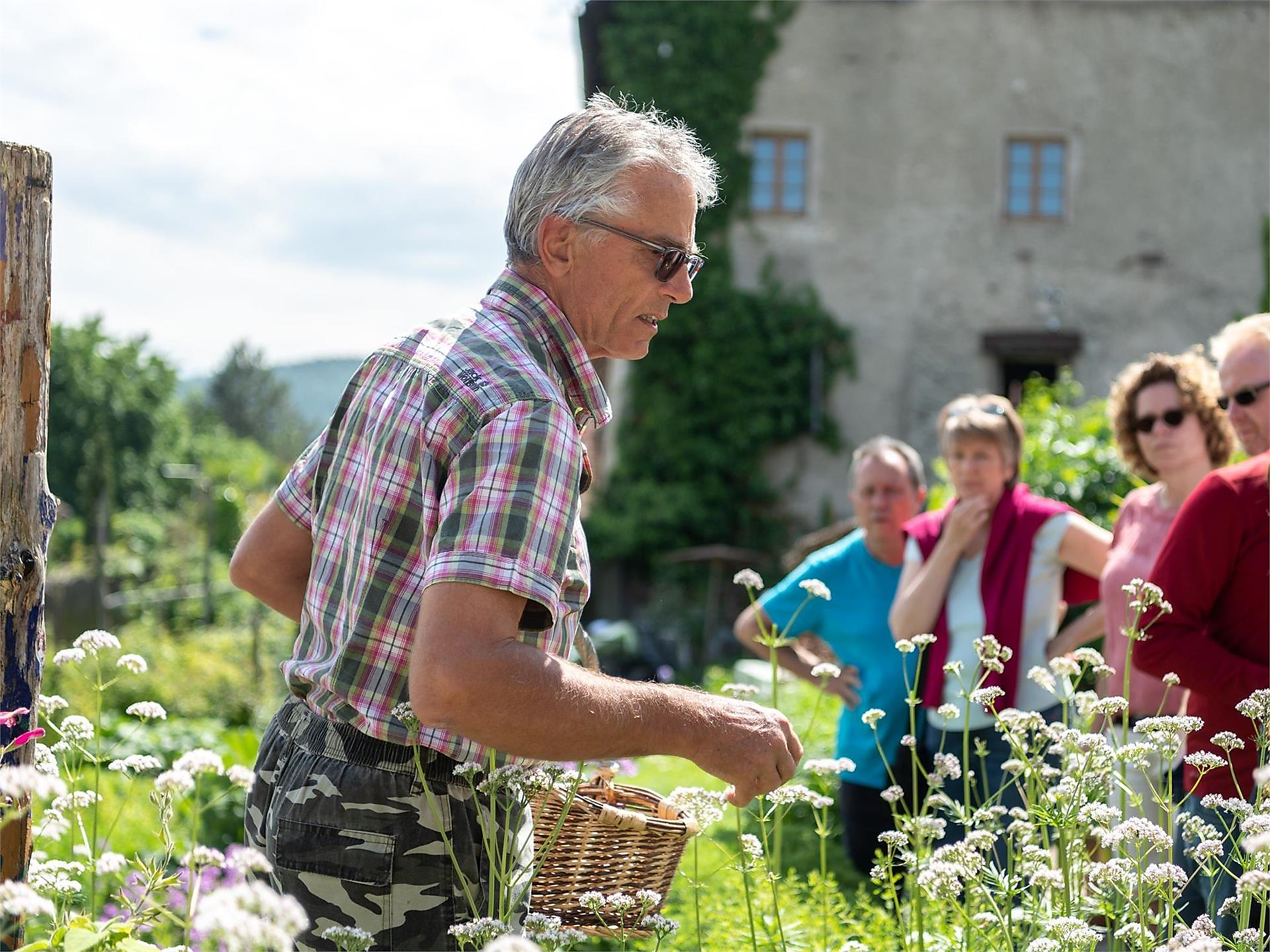 Ein Kraut für jeden Anlass 2025 Mittwoch Kaltern an der Weinstraße 1 suedtirol.info